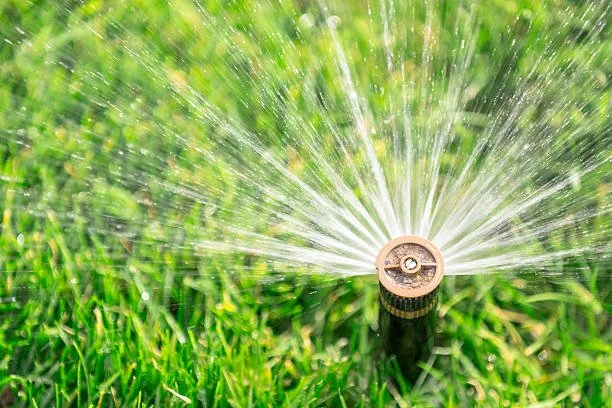 All Pro Lawn & Landscaping