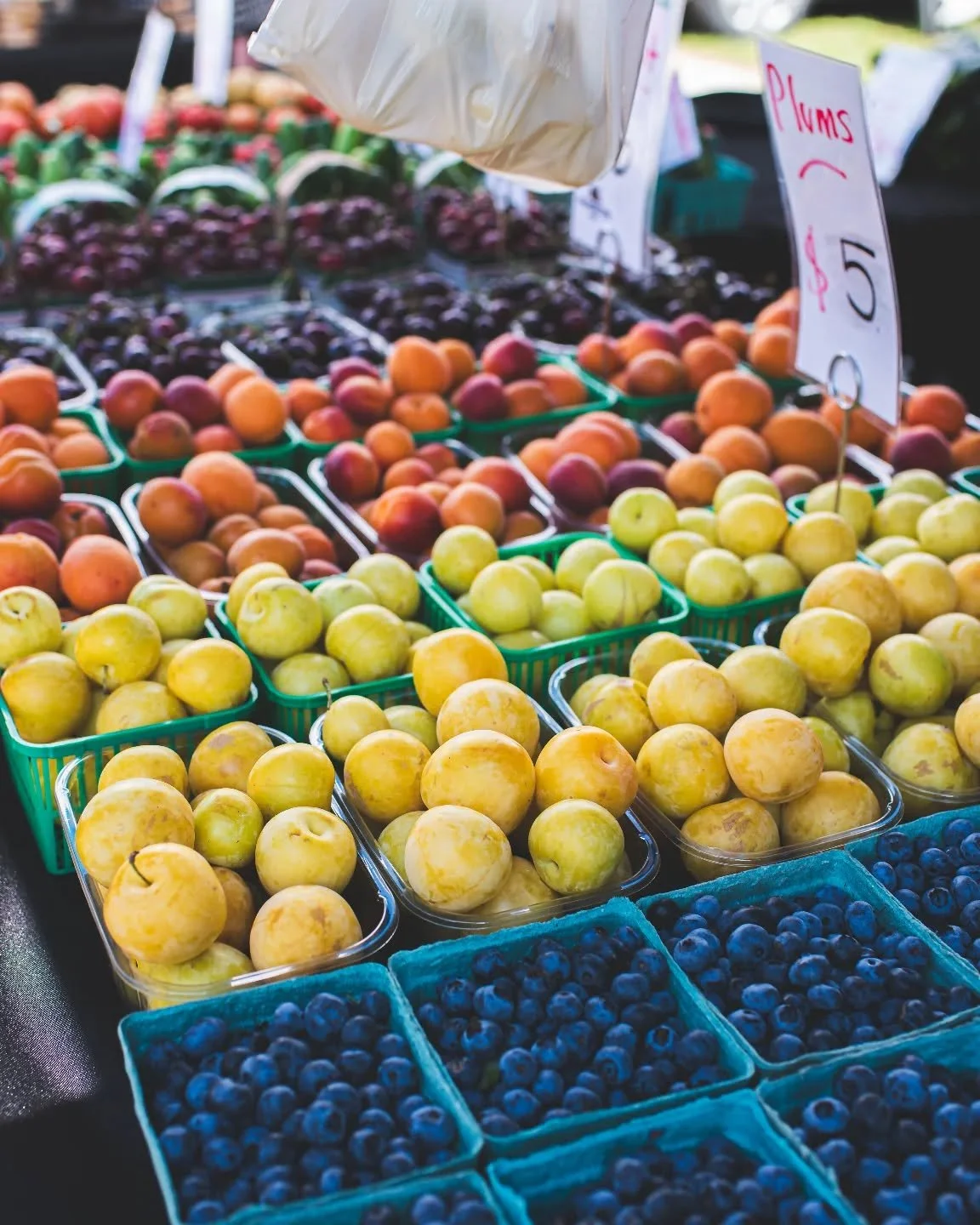 Copper Kettle weekend is here! 💙

We&rsquo;re celebrating with a special Farmer&rsquo;s Market in the park, featuring a curated lineup of producers and local makers set up on the park lawns and in the Station&rsquo;s parking lot.

Come by from 10am&