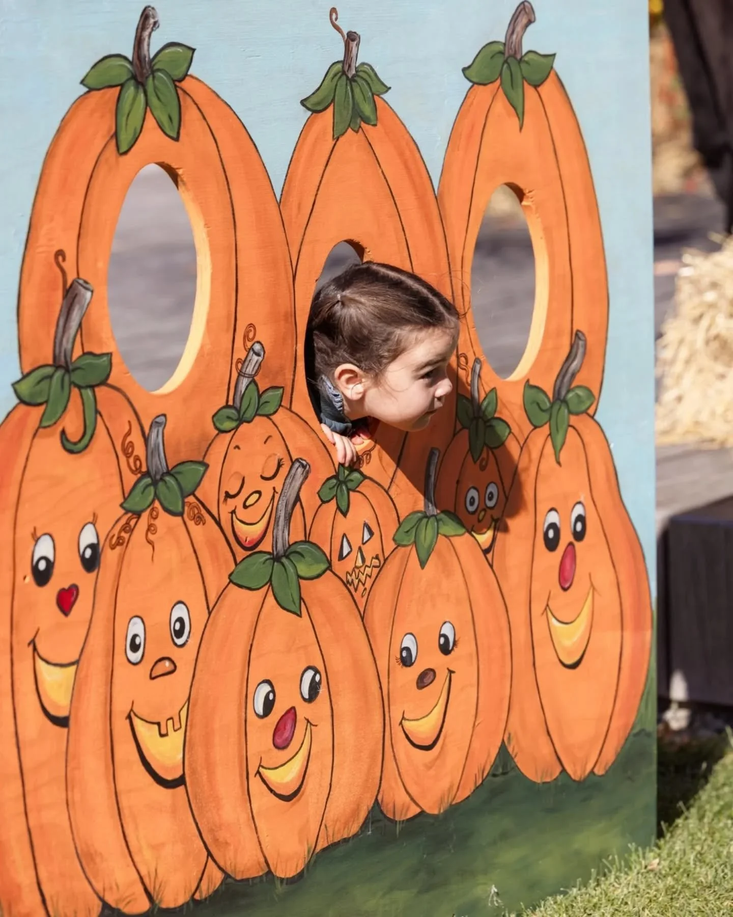 🍂 Harvest Festival is this Saturday! 🍂

Join us in the Village Green from 9am to 2pm! As the leaves turn colour and the air grows crisp, our community celebrates family, tradition and seasonal treats!

Swipe right for a peek into all the fun!

🐴 H