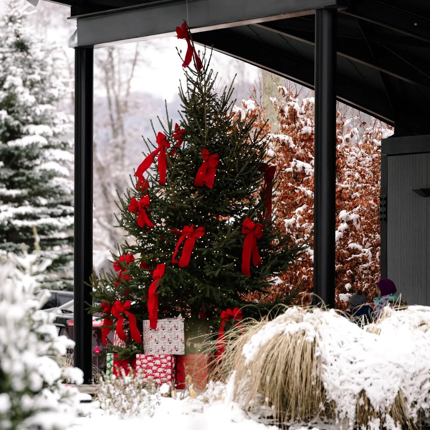 Creemore&rsquo;s Annual Tree Lighting - Friday, Dec 5! 🎄

Kick off the holiday season with friends, family, and all the festive feels in the Village Green!

5:30 PM - Cozy up by the fire pits with classic Christmas tunes
6:00 PM - Enjoy a performanc