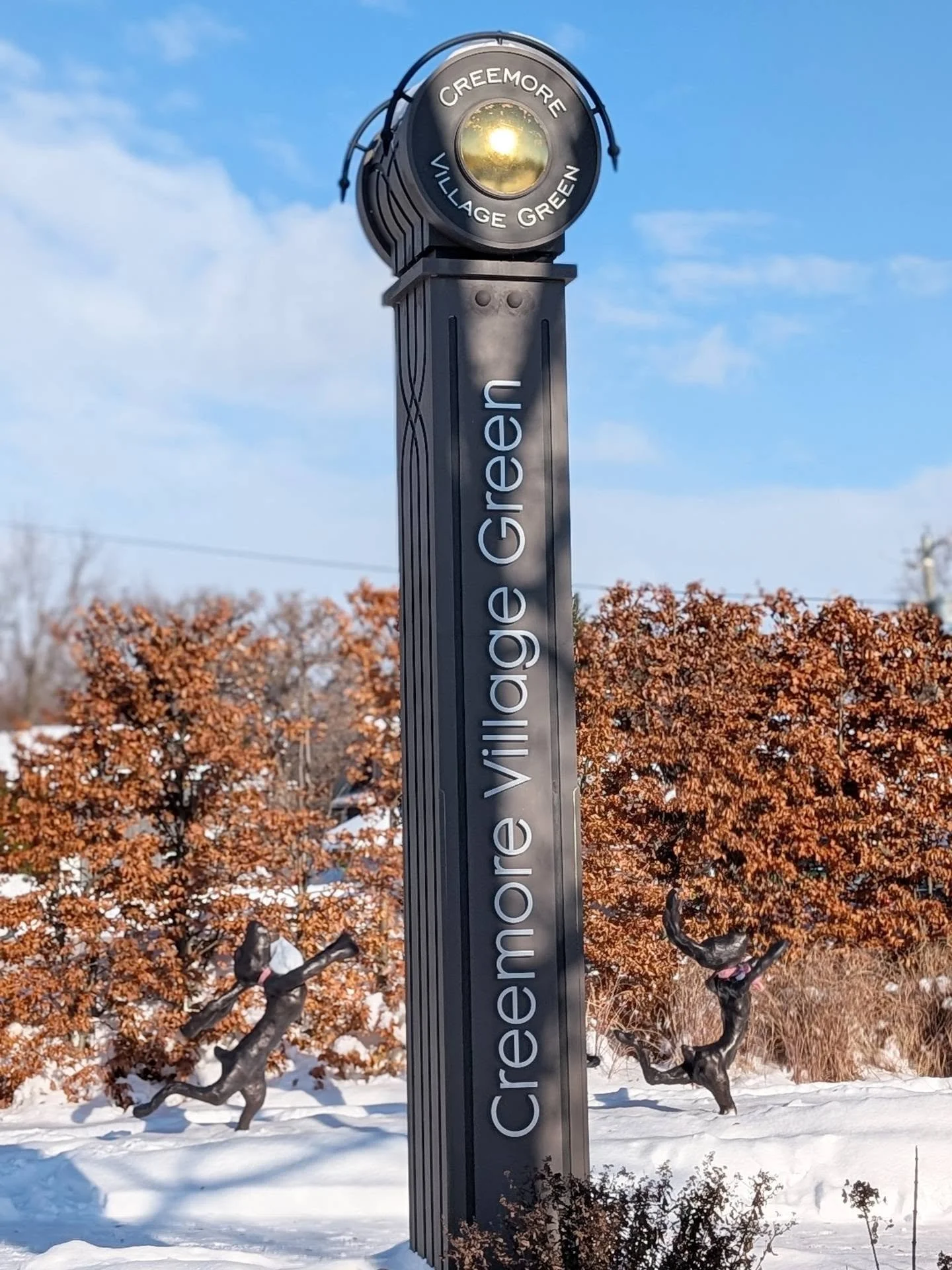 Enjoying a little winter sunshine ☀️