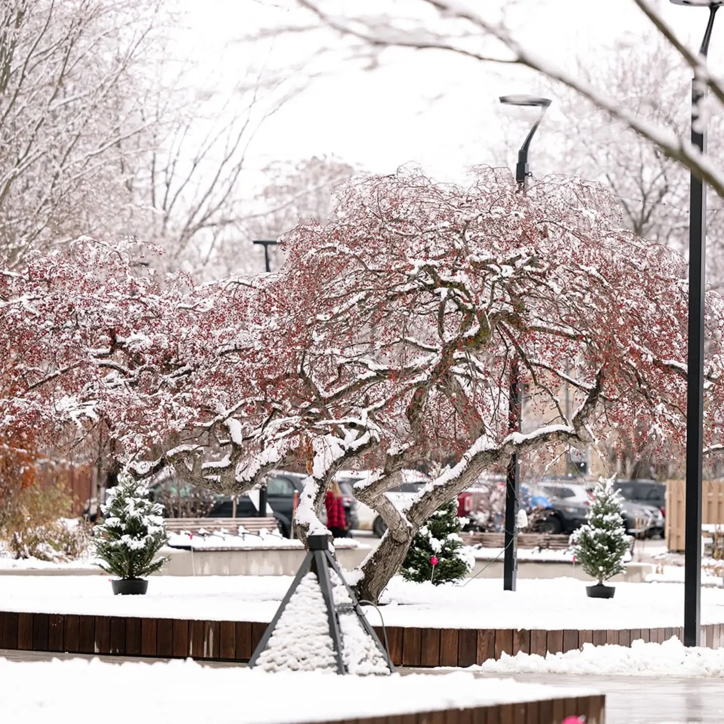 Cold, crisp days in Creemore have a way of making us feel warm &amp; fuzzy 💙