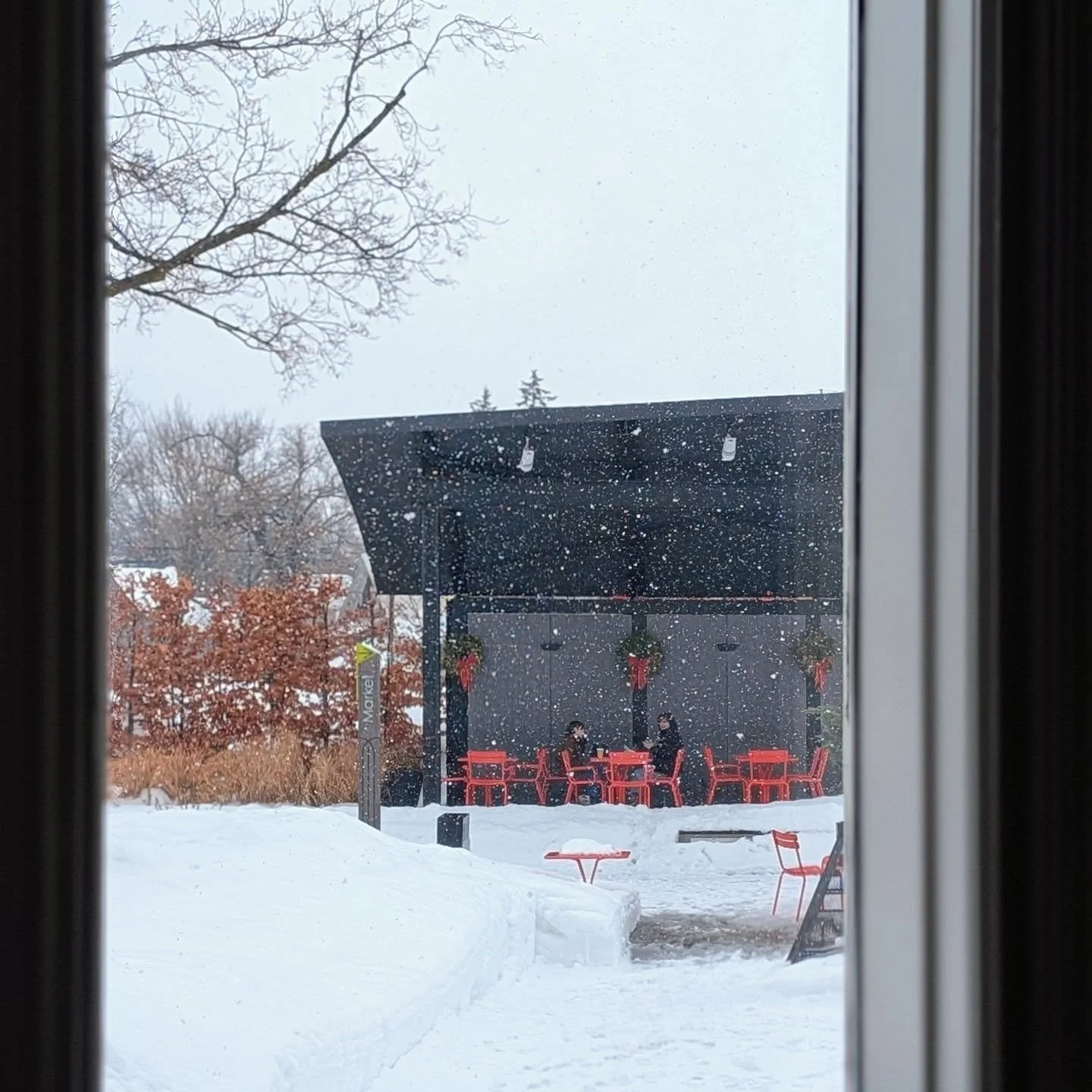 Views of the park 🥰