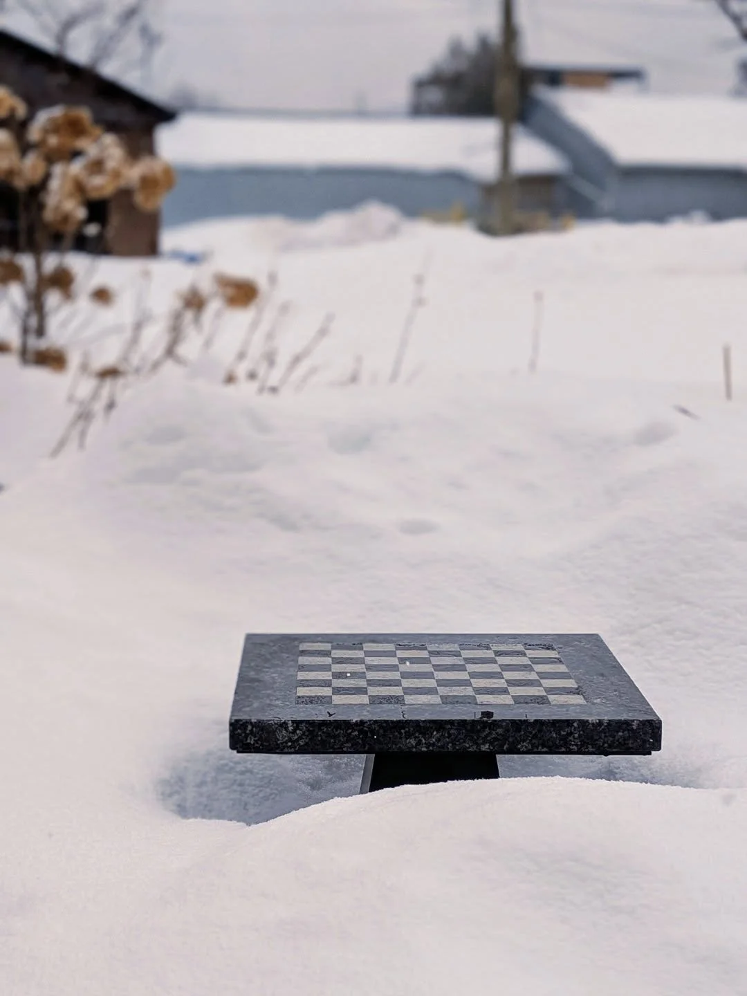 Fancy a game of chess? 🧊