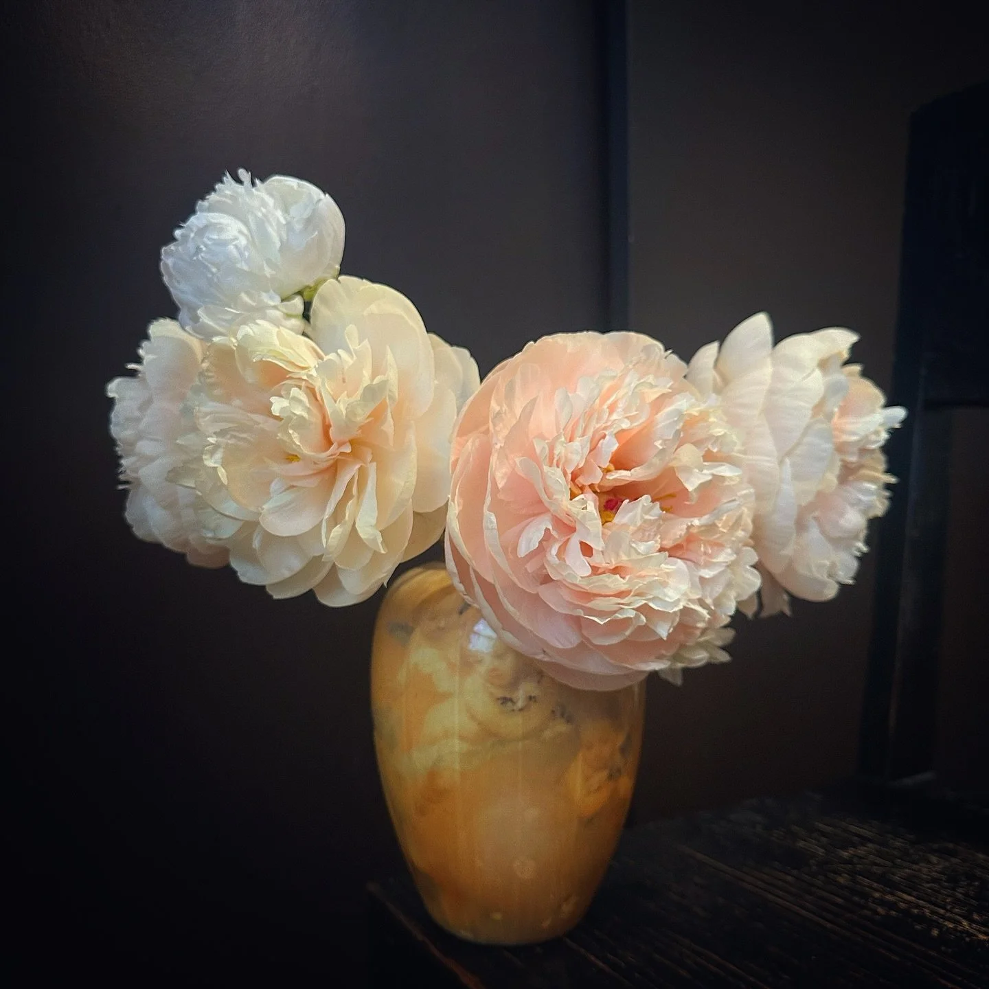 🪽perfect peonies heading out for deliver🪽