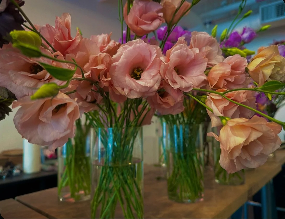 𝒮𝓉𝓊𝒹𝒾𝑜🪬🩰&hellip;#𝒹𝓁𝓎𝓁𝒶𝑔𝒶𝓇𝒹𝑒𝓃𝓈