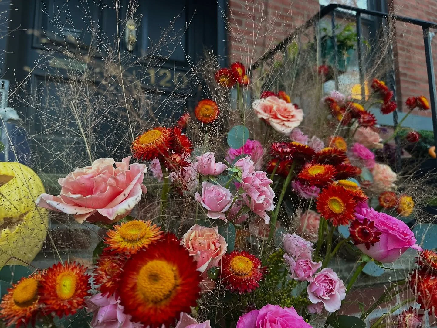 ~Happy Halloween from D&rsquo;Lyla Gardens to you&hellip;💋🎃