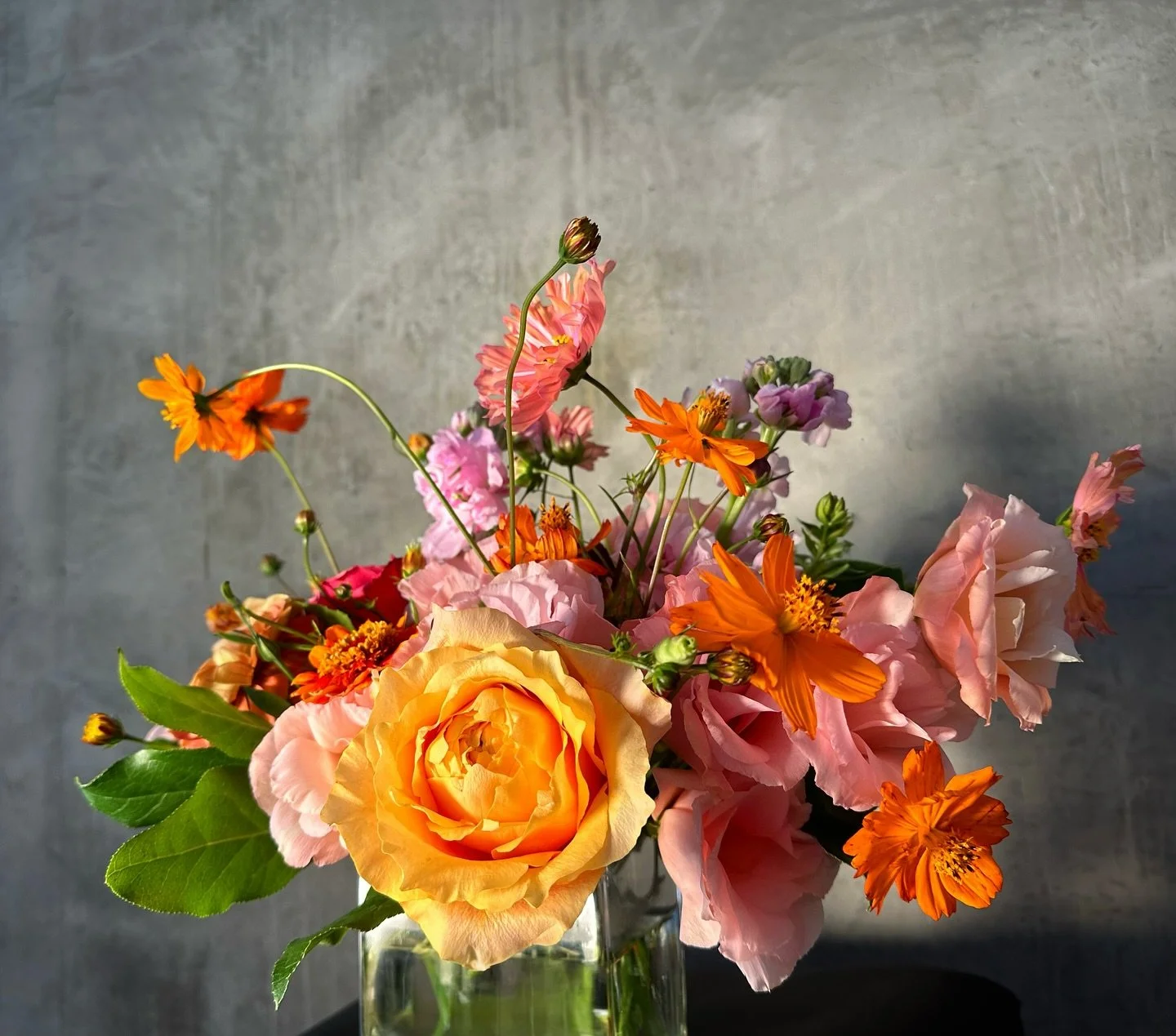 ꧁for someone special꧂