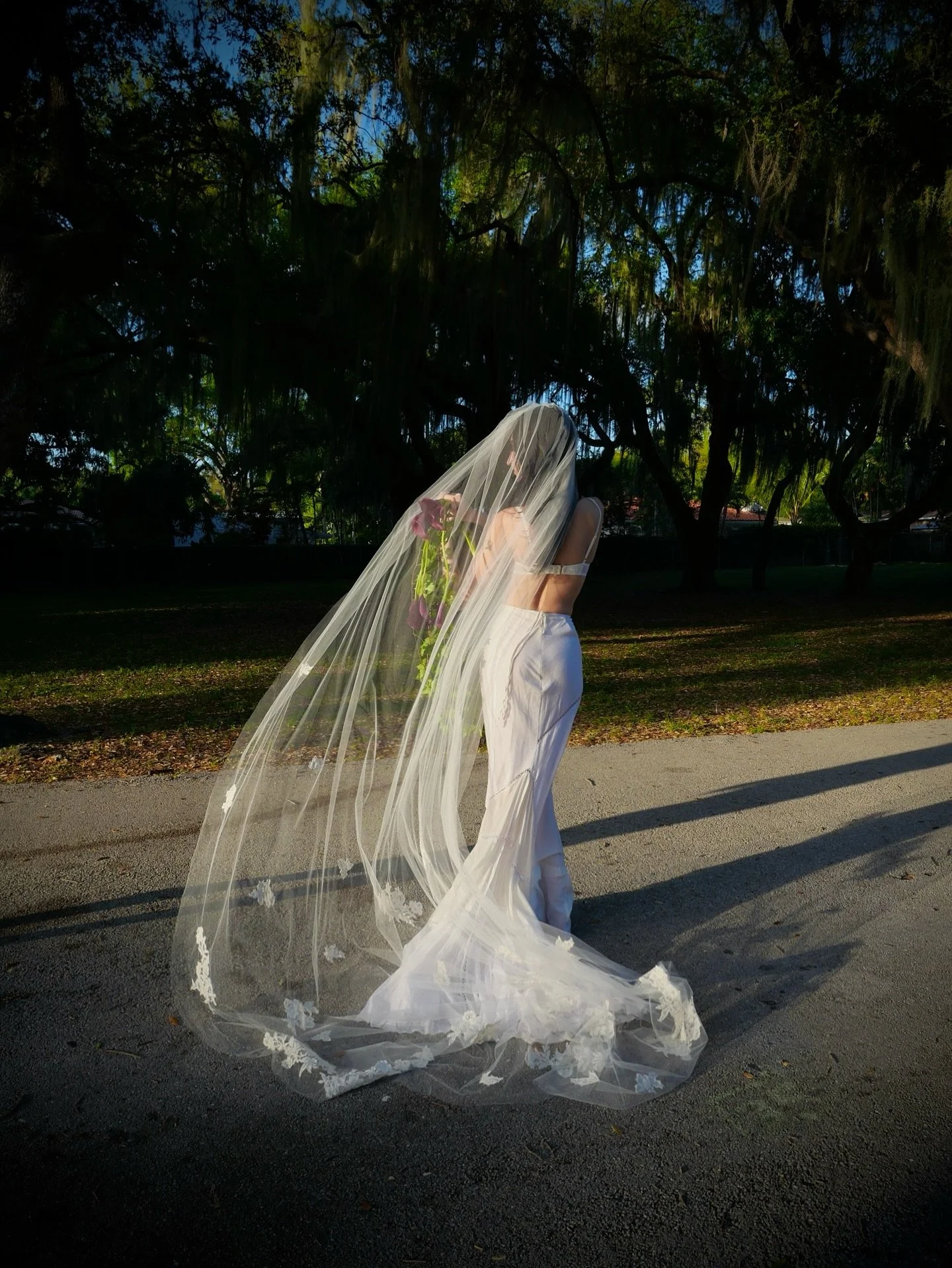 🪻Callas in the wind 🦢 #dlylagardens 🪻