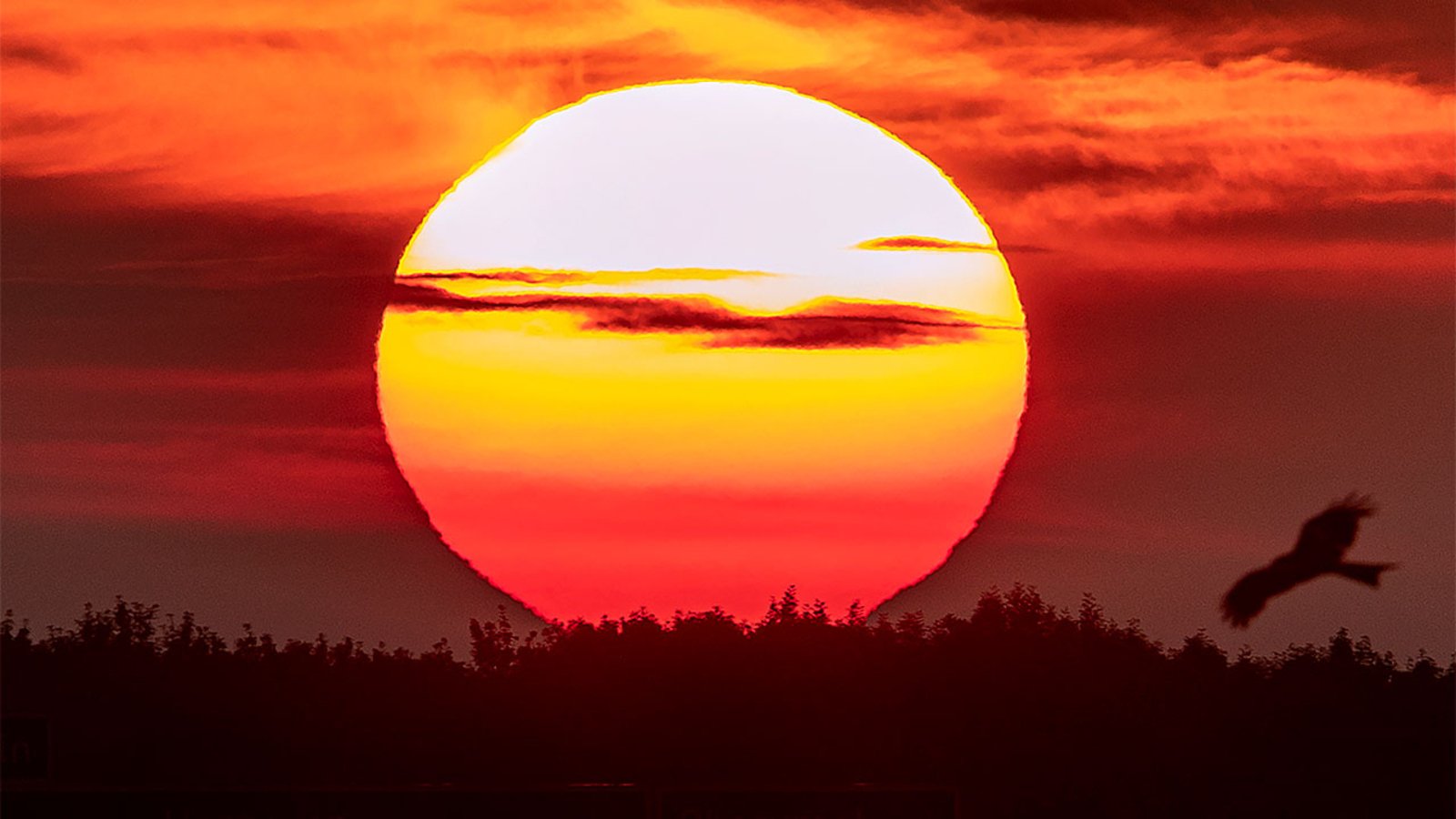 Summer Solstice.jpg