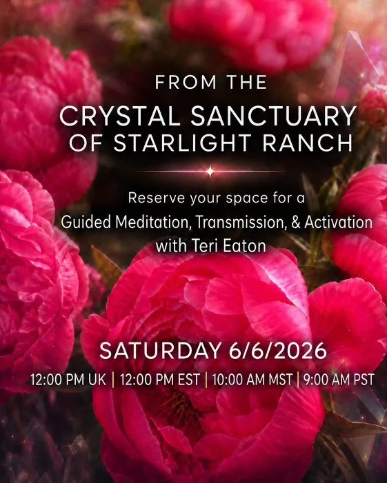 Guided Meditation, Transmission & Activation
