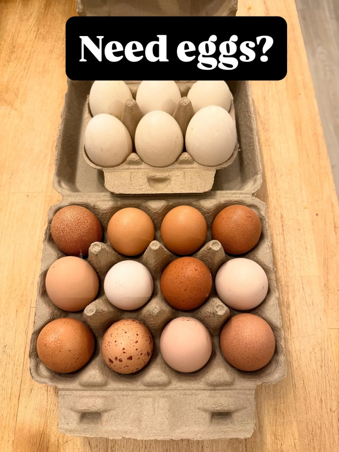 Our flock is really productive and laying more than we can use. I have chicken eggs $5/dozen and duck eggs $4/half dozen. The birds free range on our pasture and lay eggs with beautiful dark yolks. Send me a message for local pickup in Republic, MO