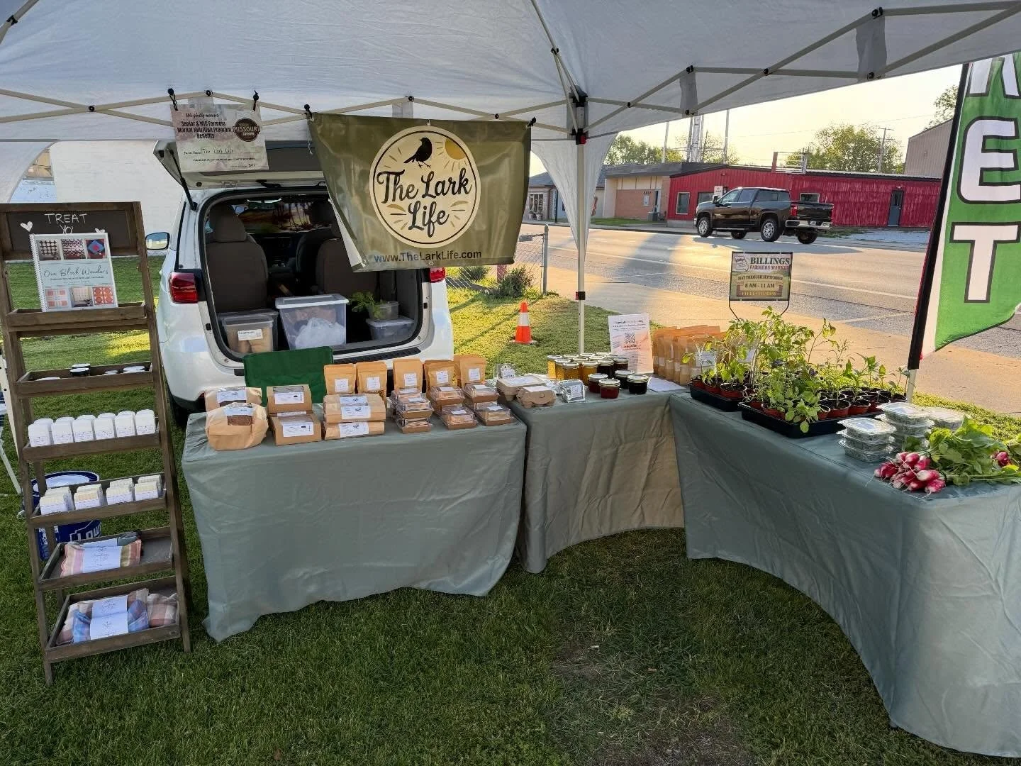 We are at the Billings Farmers Market this morning until 11. Plants, produce, baked goods, eggs, jams, and lots more  #farmfresh #farmersmarket #shoplocal #supportsmallbusiness