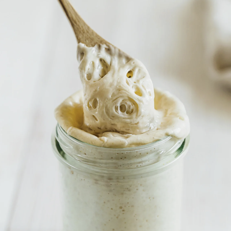 How to Rehydrate a Dehydrated Sourdough Starter (Step-by-Step + Troubleshooting Guide)