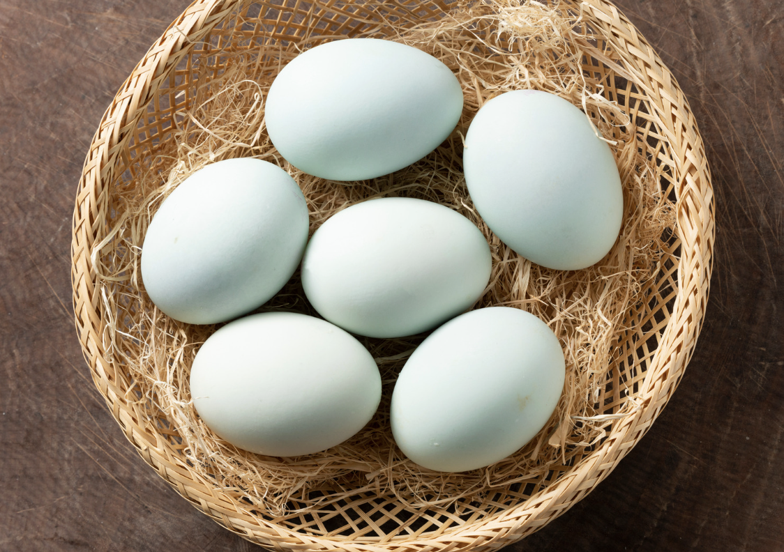 Screenshot 2026-02-14 at 4.34.48 PM.png