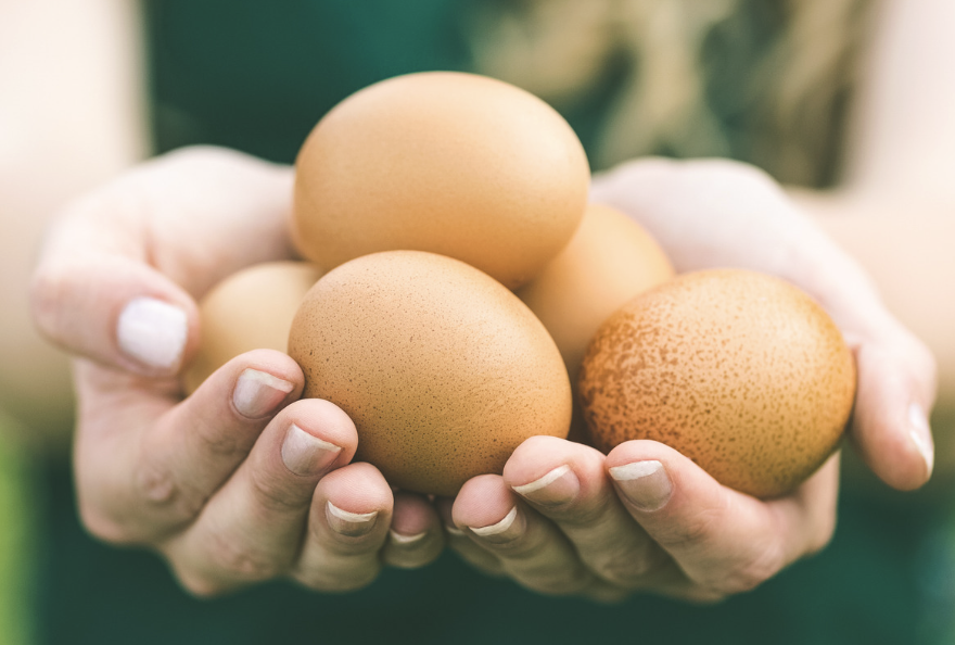 Screenshot 2026-02-14 at 4.18.48 PM.png