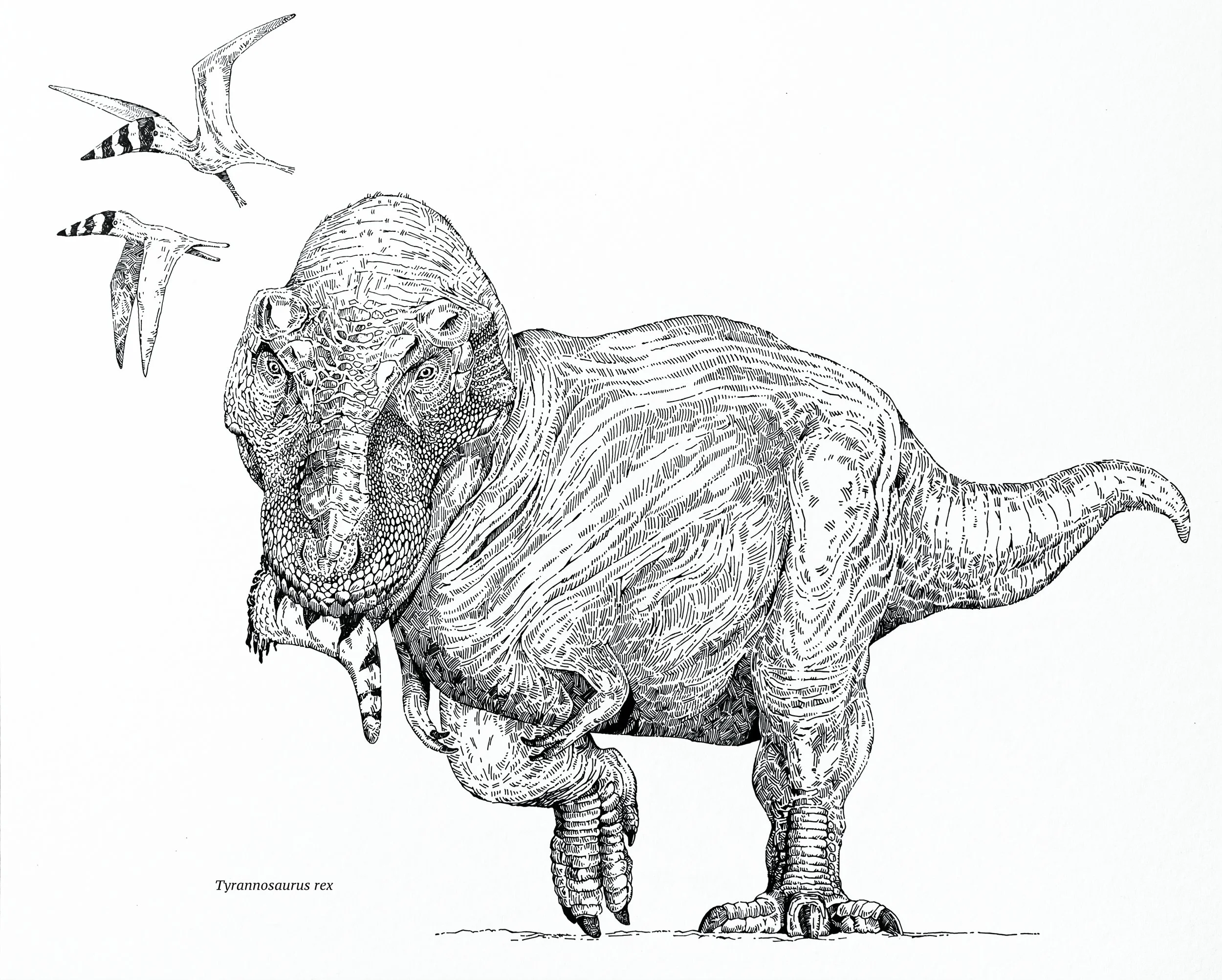 Tyrannosaurus