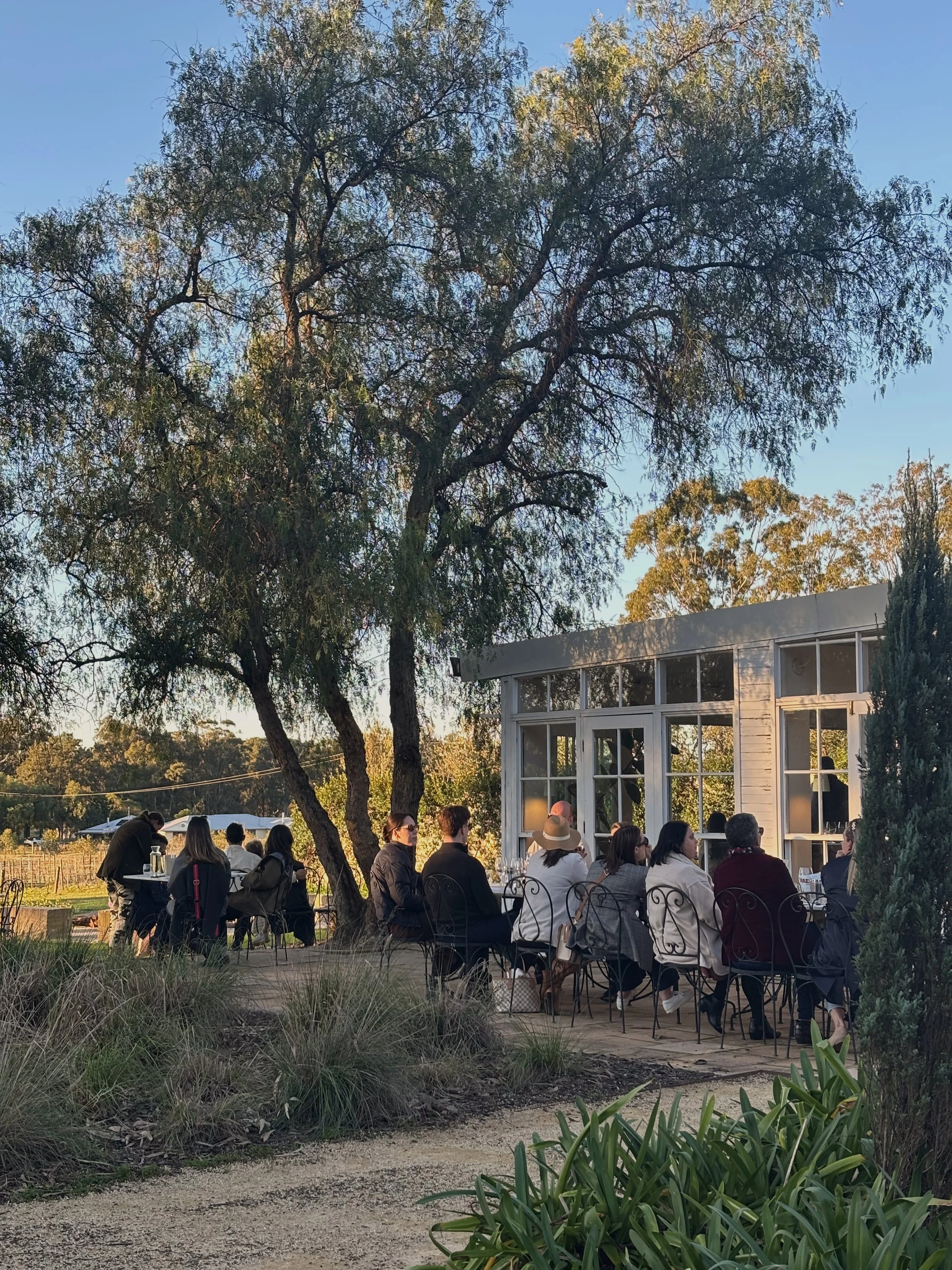 What to Do in the Hunter Valley in Winter — An Honest Guide (2026)