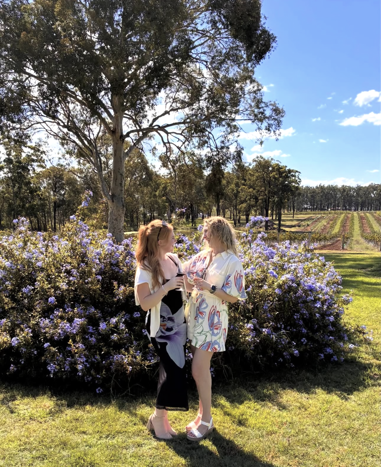 family christmas celebrations with a private wine tour in the hunter valley