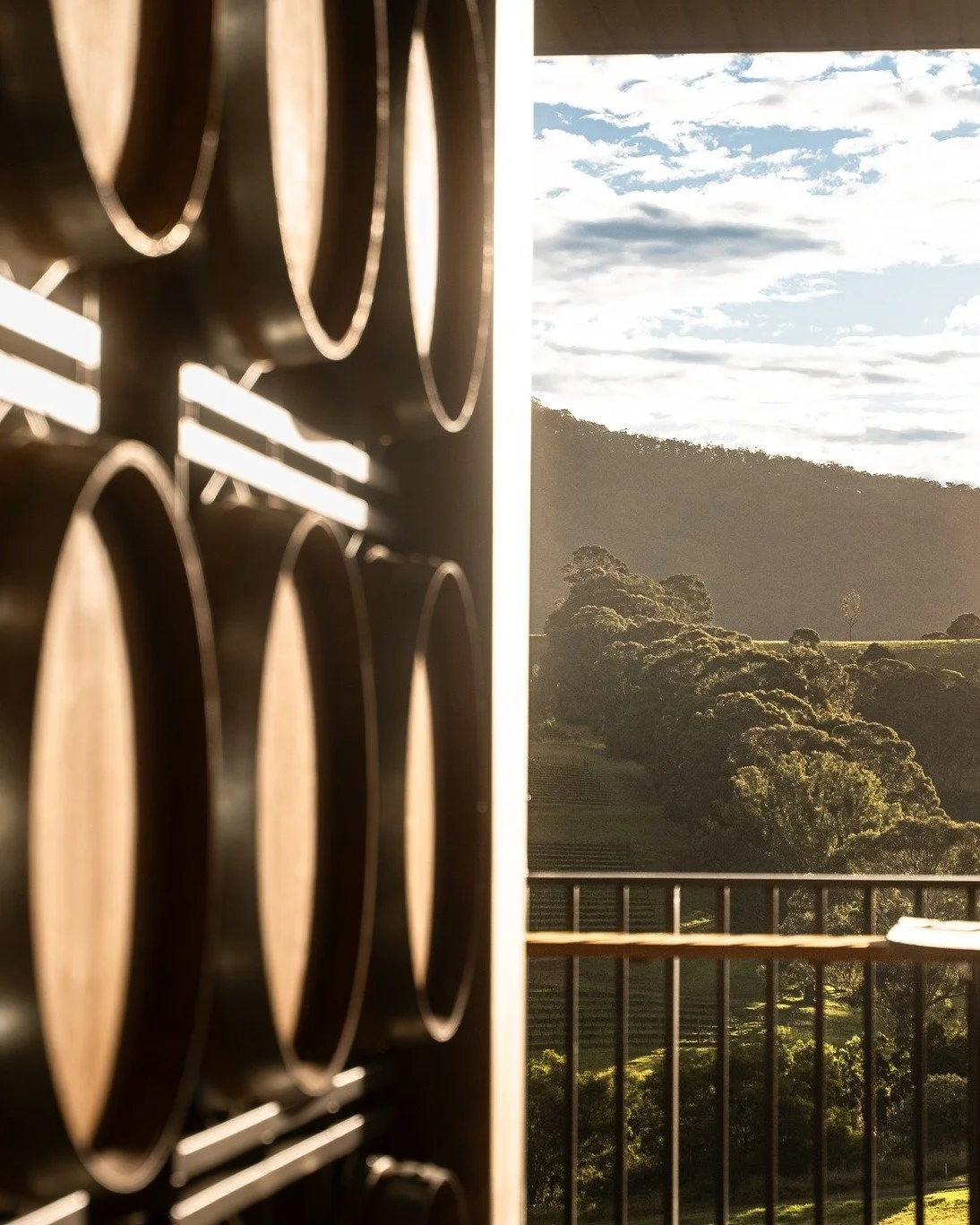 Cellar Door Views at Mount View Estate, Hunter Valley
