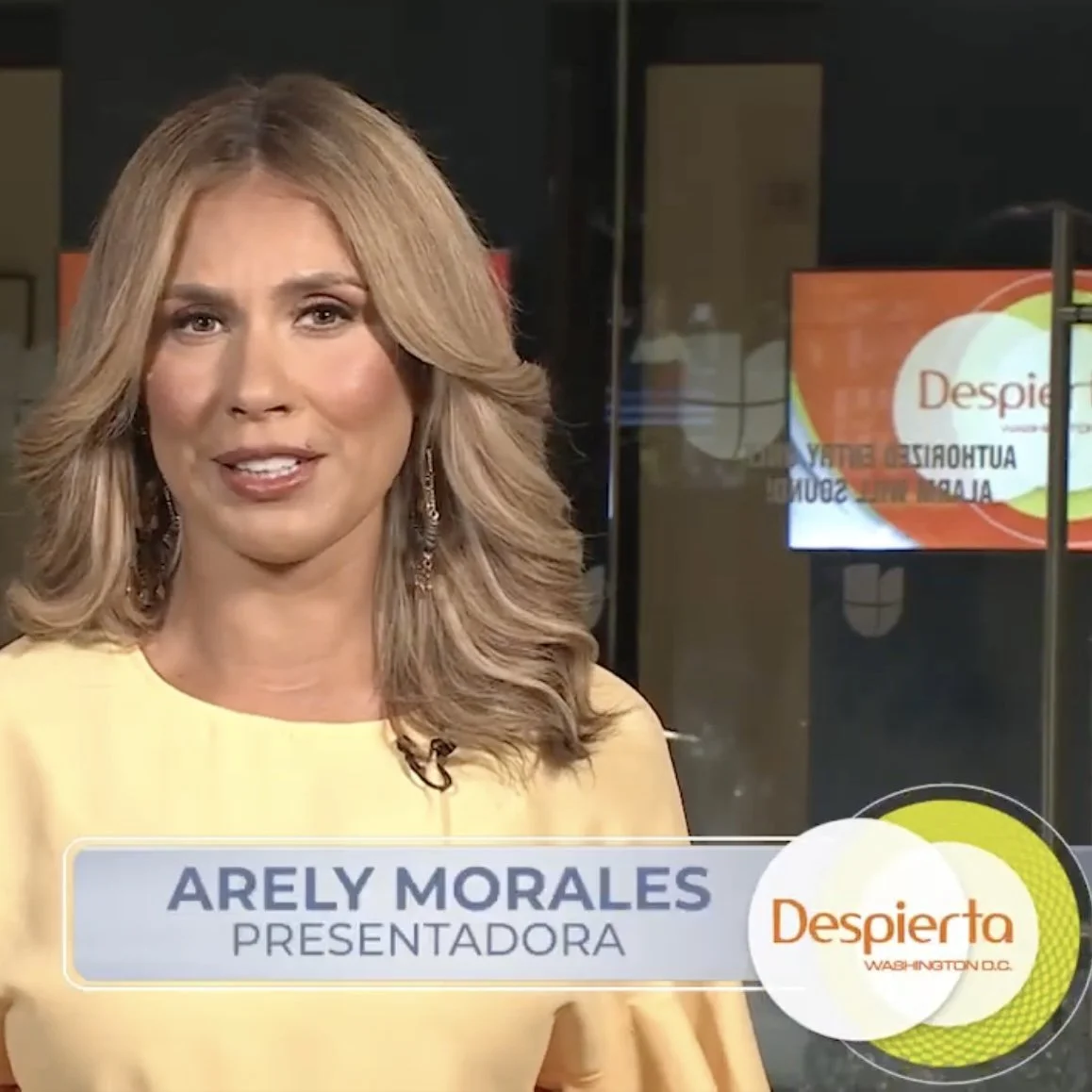 Television news host Arely Morales on the set of 'Despierta Washington D.C.' wearing a yellow top with her hair styled in loose waves.