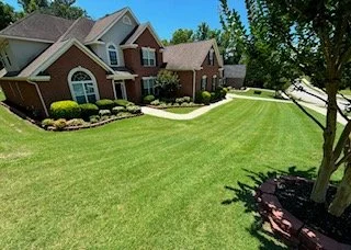 mowed grass