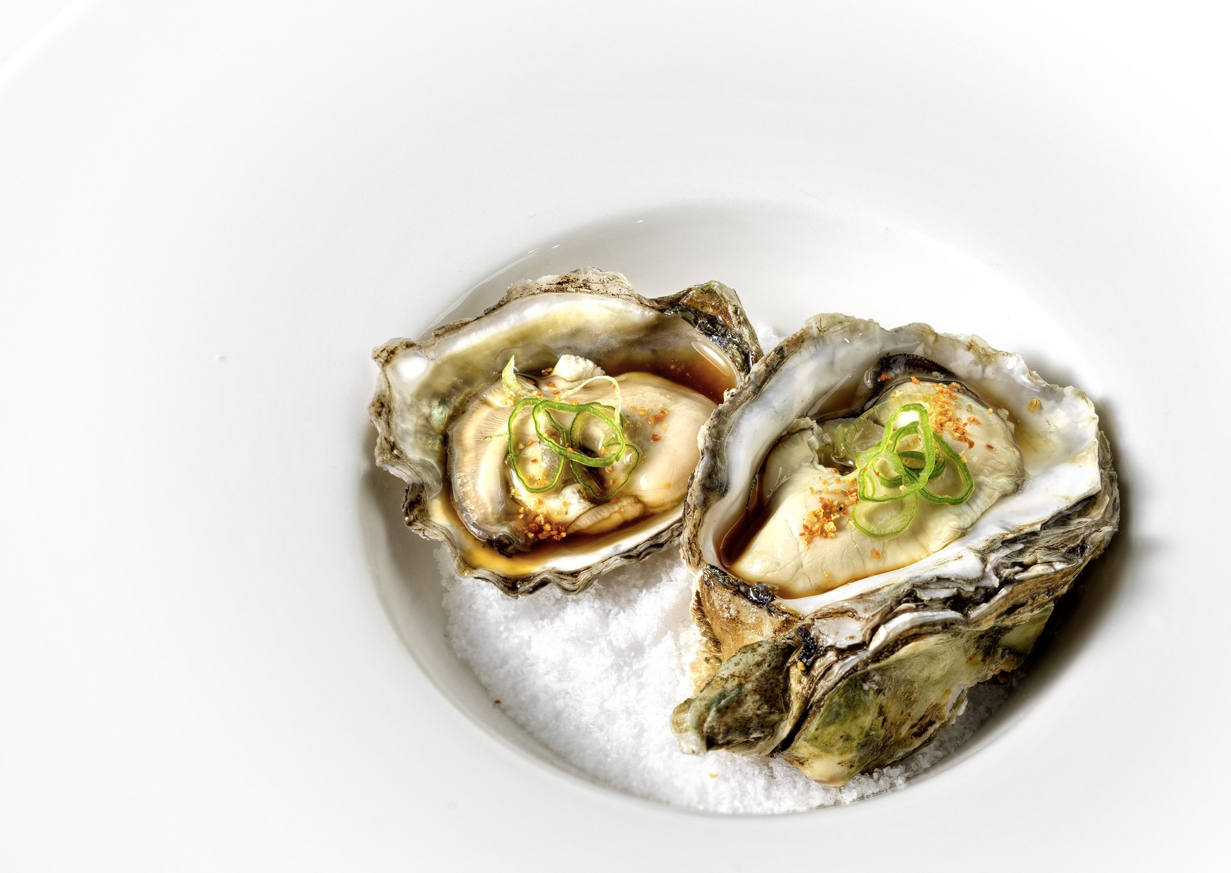Oysters_1.jpg
