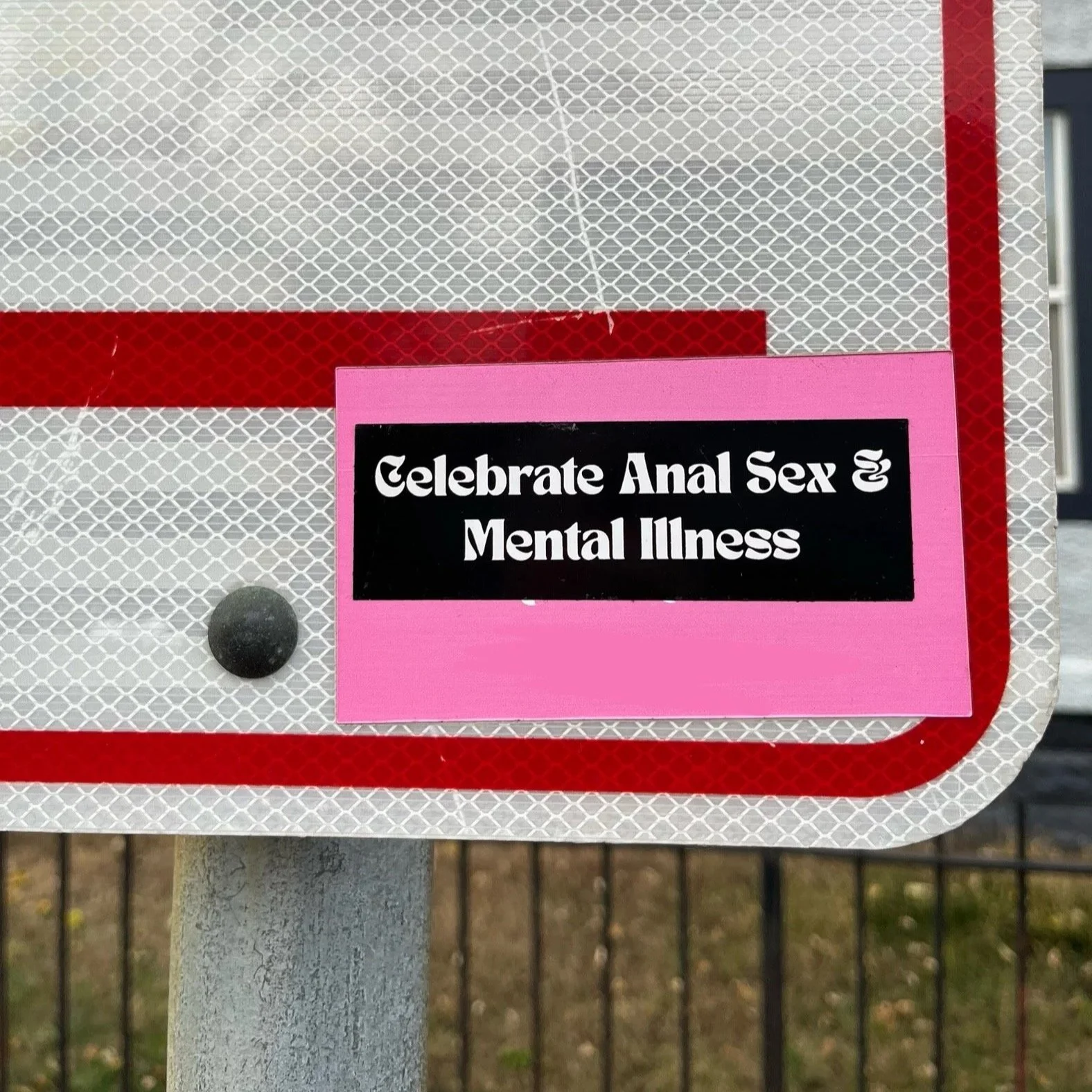 Celebrate Anal Sex & Mental Illness Sticker