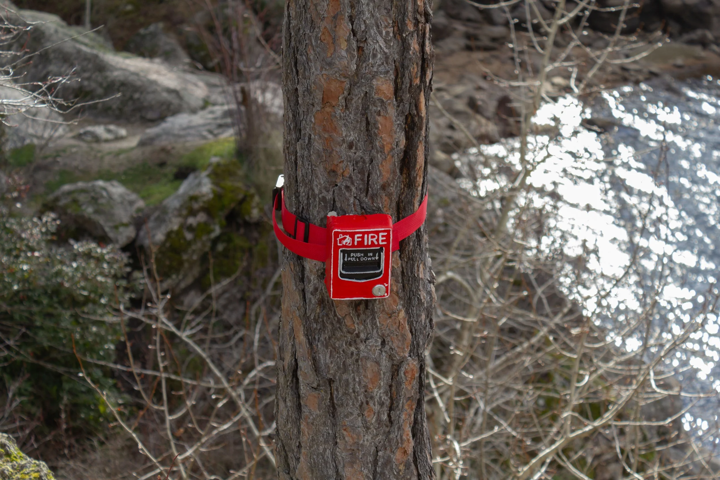 Fire Alarm 5.jpg