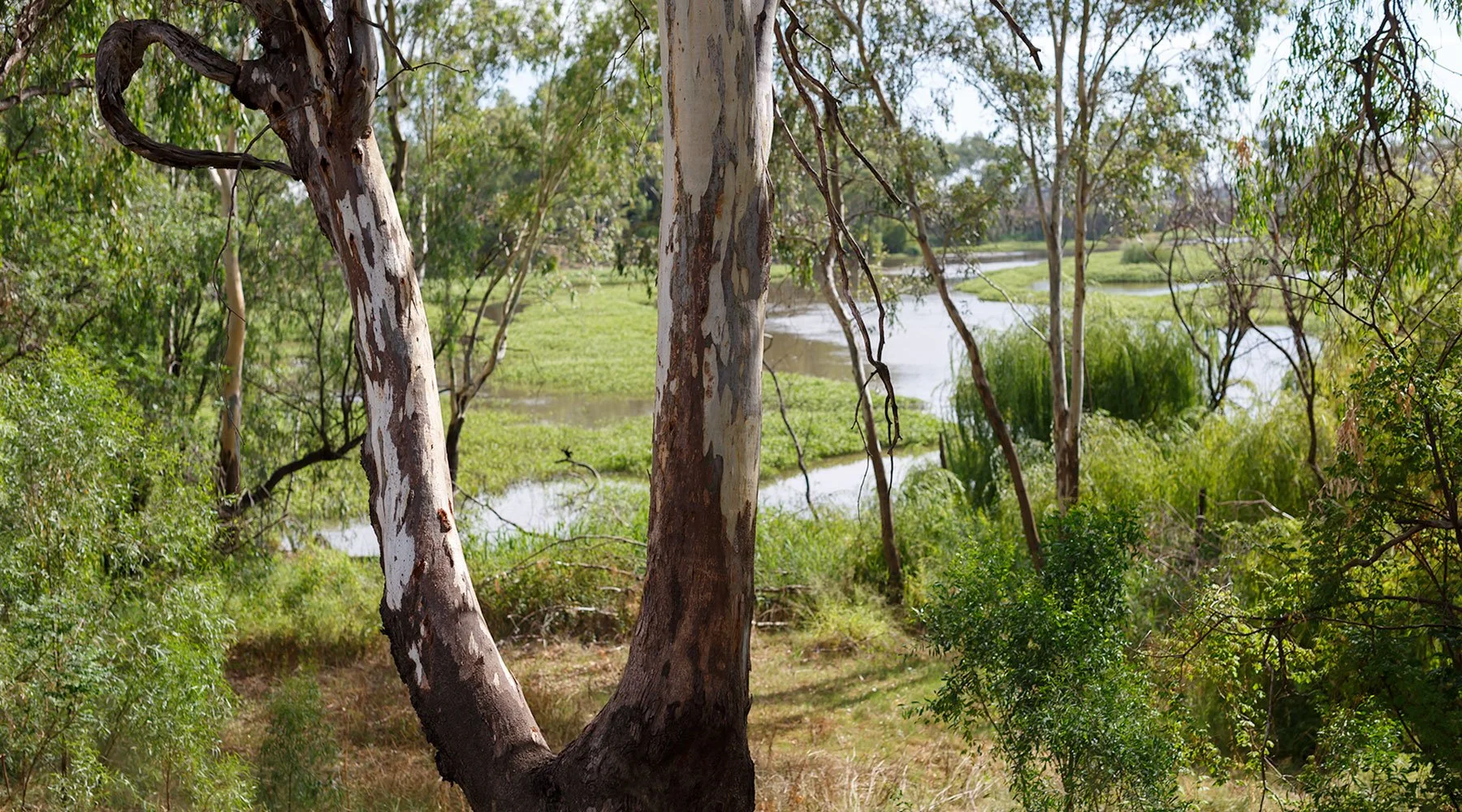 Gamil-array Thuurray Light, Mona Fernando, Mehi River
