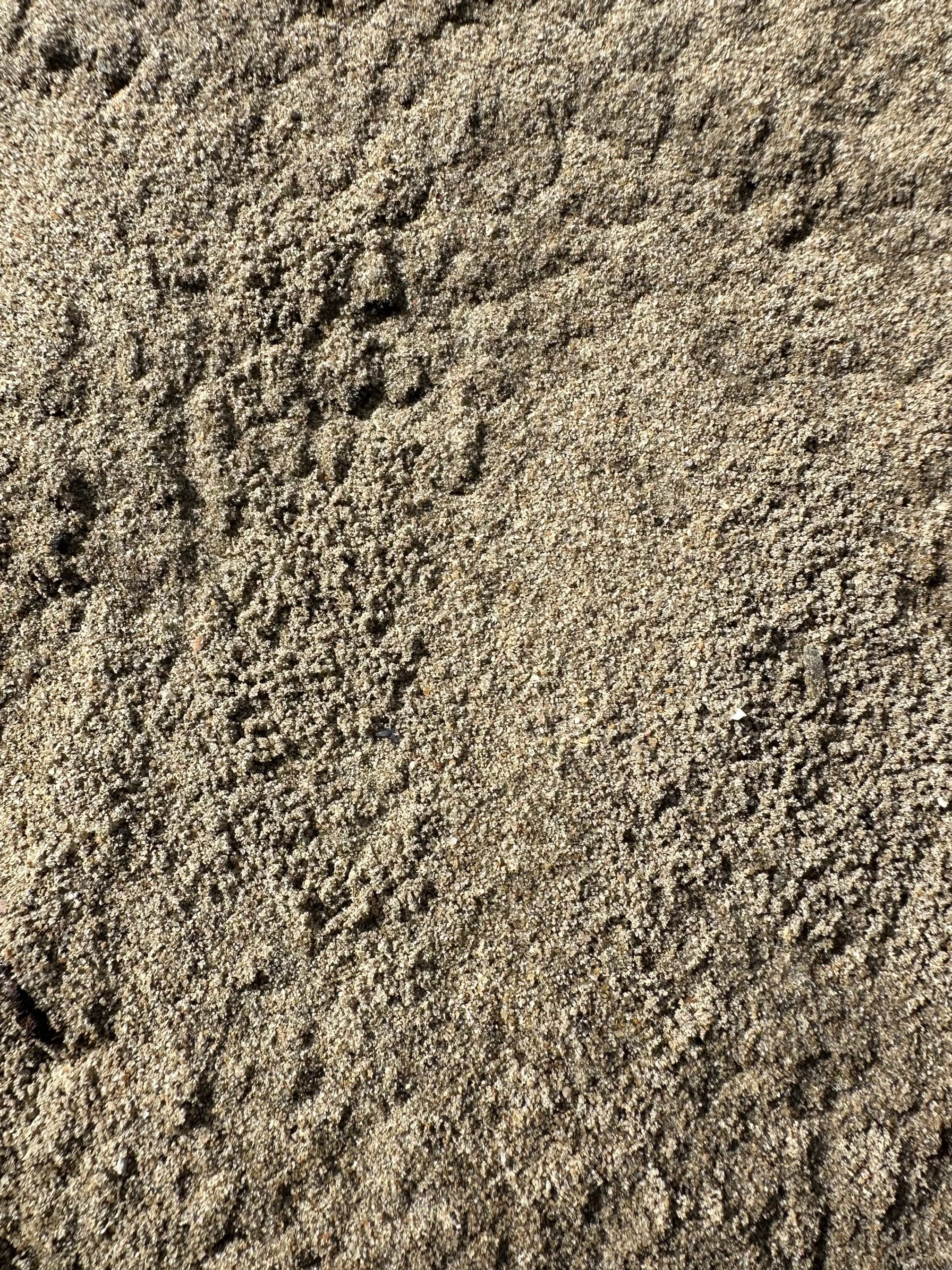Fill Sand Pic.jpg