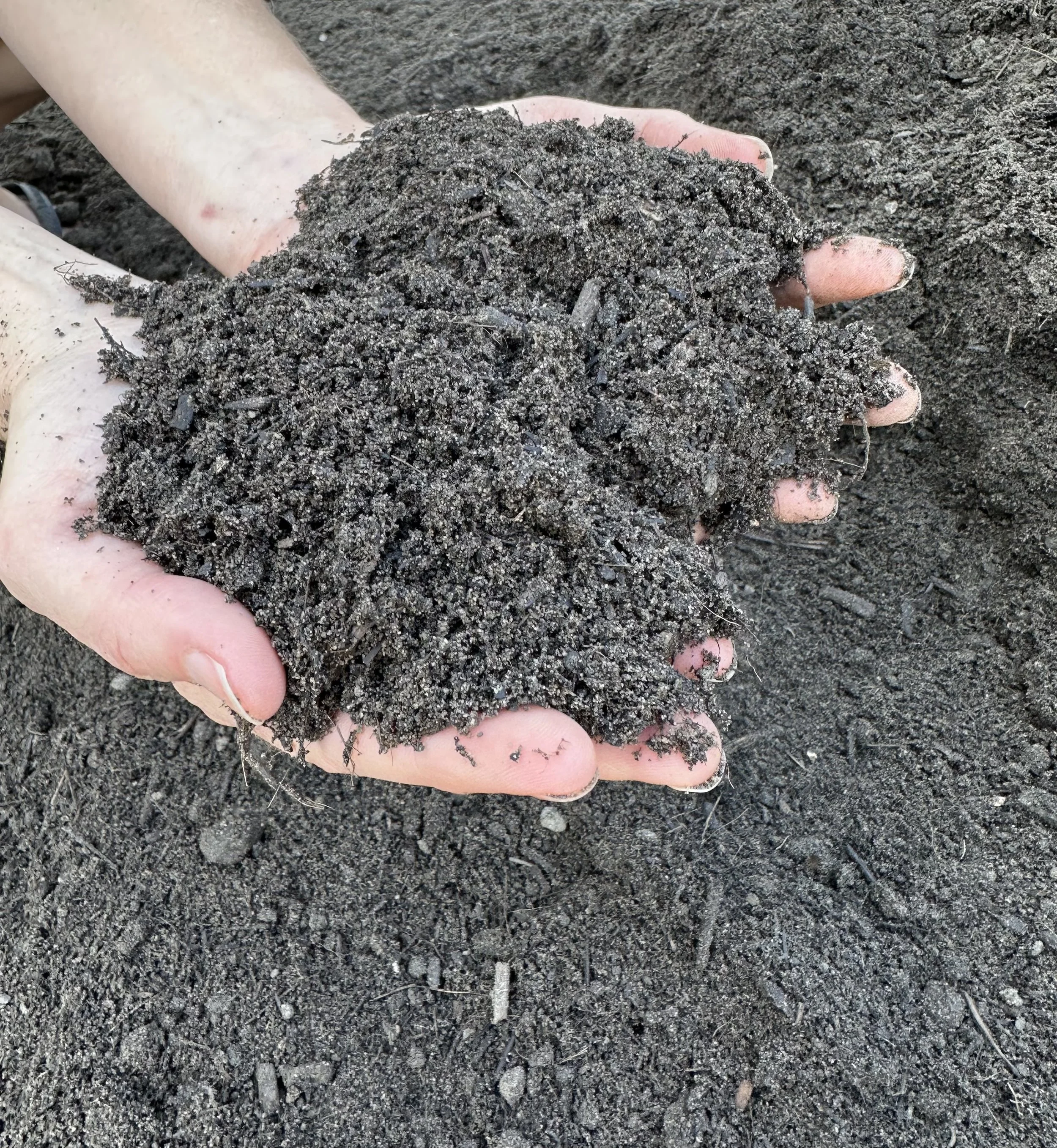 garden soil (1).jpg
