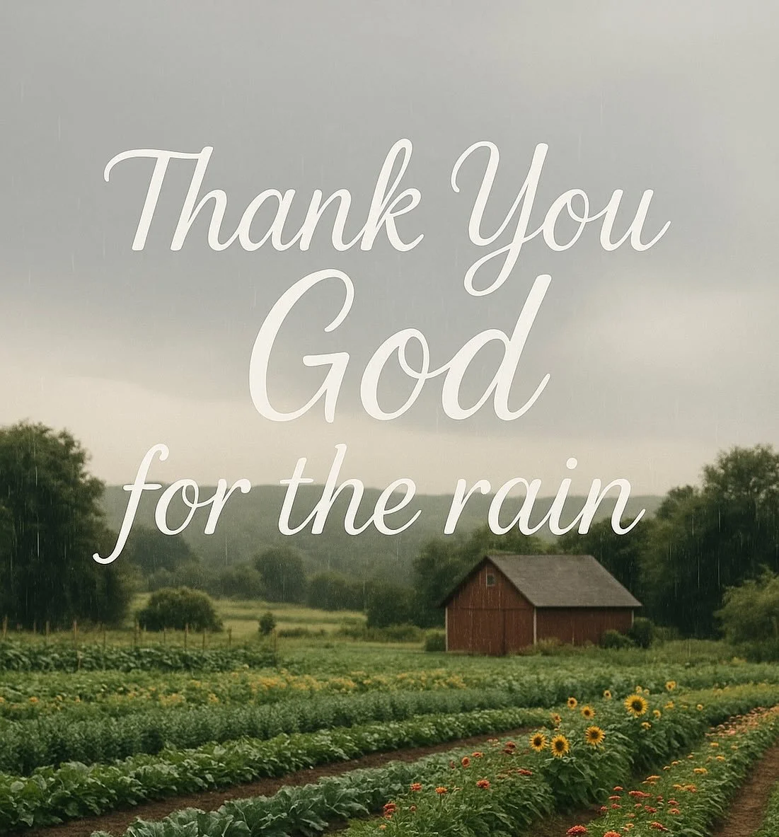 AMEN! 🙏 We really needed it! 💛 🌧️