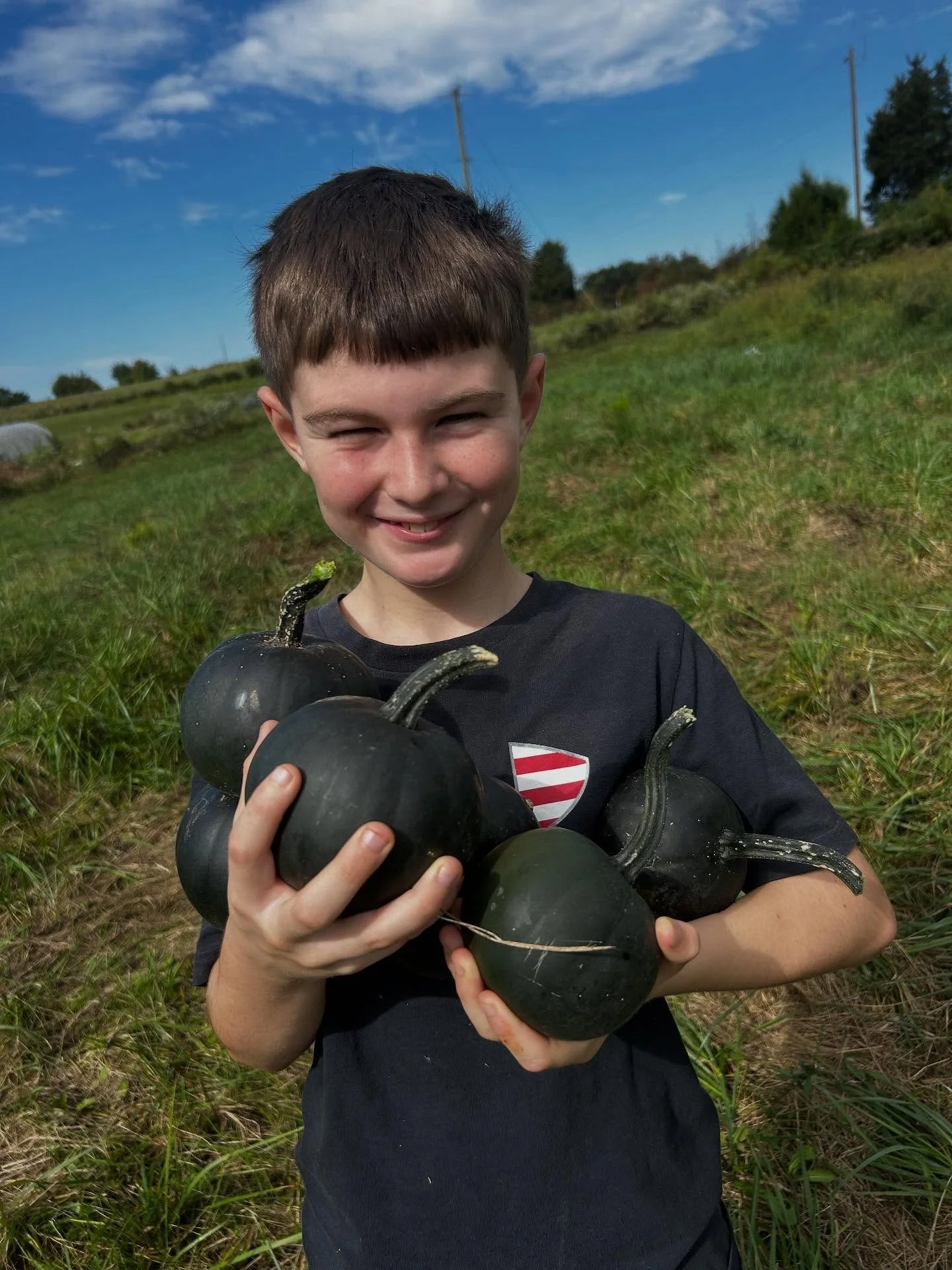 A very timely post on October 1st! We have been picking these beauties a little along the way! We love pumpkins and are so excited about some of the big ones that are also getting closer! #farmersdaughterorganics #pumpkins #wintersquash #tasteandseet