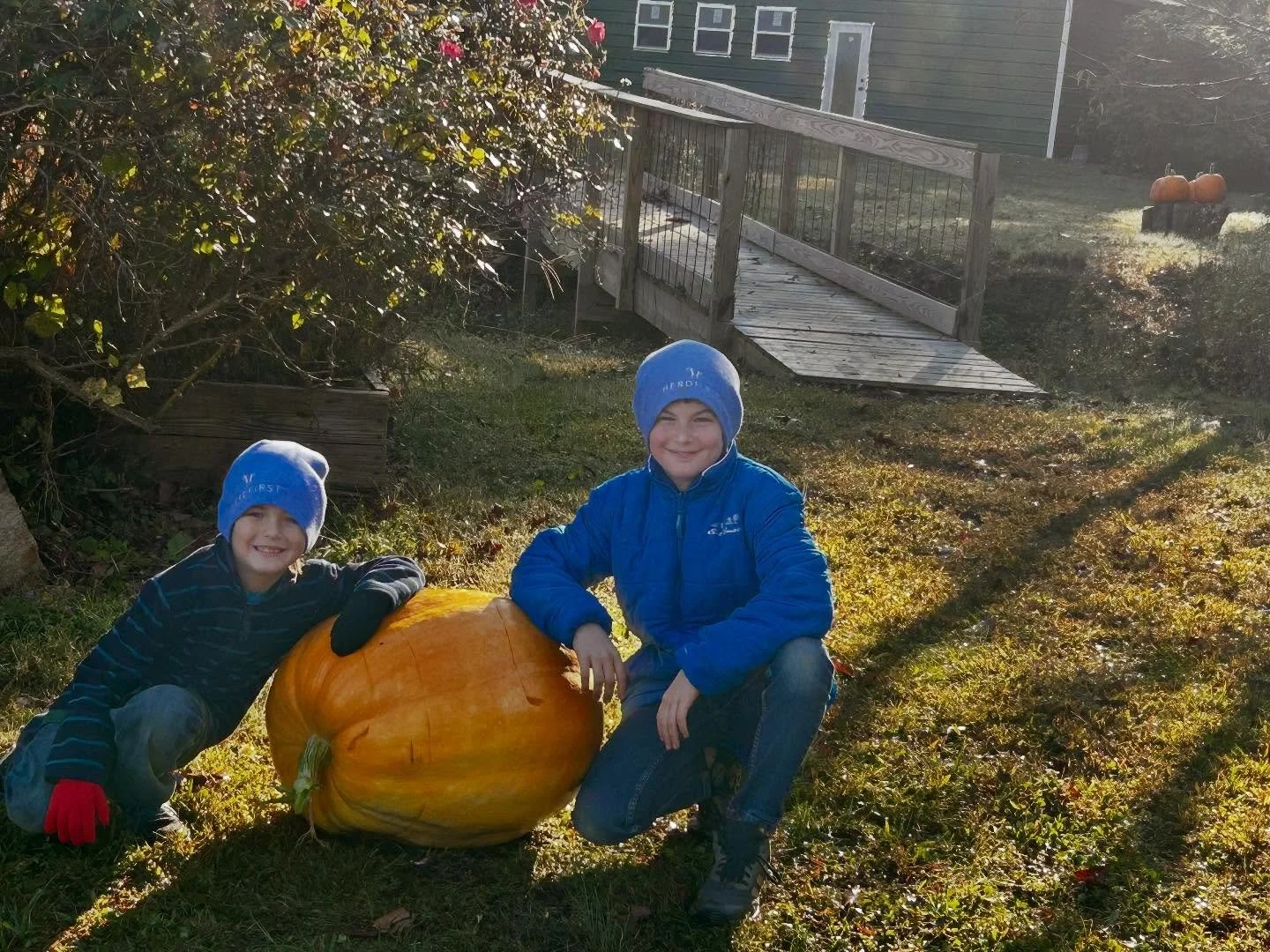 Field Trip Days on the Farm are some of our favorites! The boys picked one of their giant pumpkins to share with the preschoolers 🥰 and helped run some of our pumpkin games! We are so honored to host this sweet preschool and their families to have s