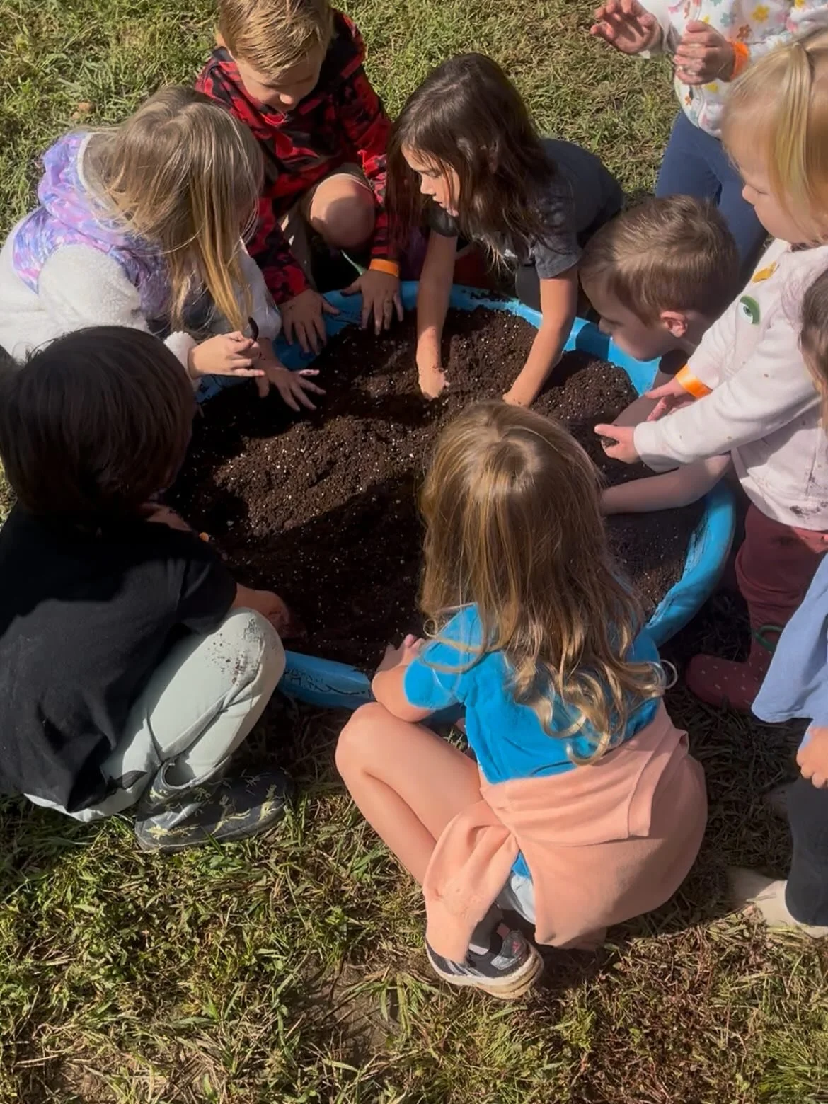Y&rsquo;all remember when we had Homeschool day? 10/2! I had *thought* I posted updates of these sweet lettuce babies but I just saw that they didn&rsquo;t! Here is a photo of some of the babies that germinated and started to grow! Please show to you