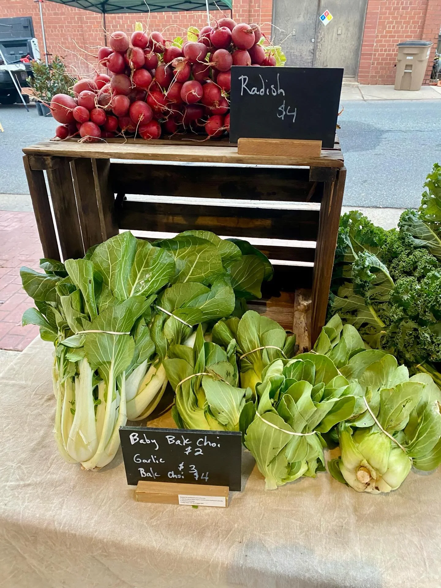 Market Day is here! Salisbury Farmers Market! Here til 12! Come see us and get your fresh, organically-grown produce! Don&rsquo;t let the cold weather keep you from eating what&rsquo;s fresh and in season! While you&rsquo;re here, pick up Christmas p