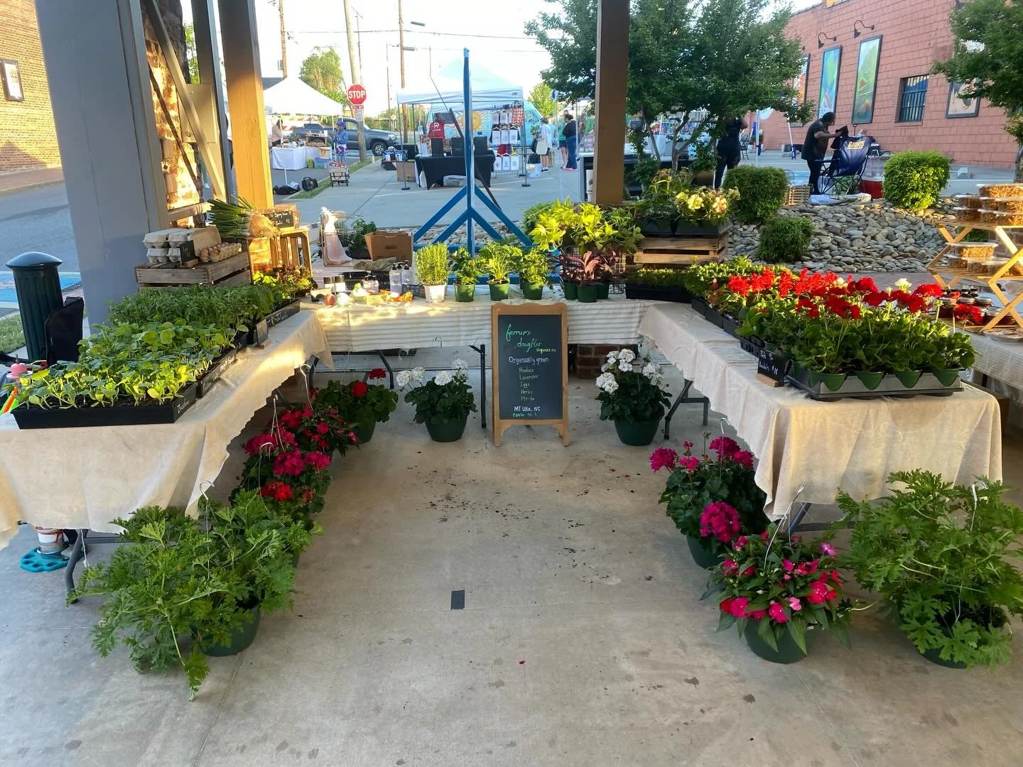 We&rsquo;re back!! Salisbury Farmer&rsquo;s Market is open today! Come see us for your starters, some produce and lavender products!! Here til 12! #psalm34v8 #farmersdaughterorganics #farmfamily #supportlocal