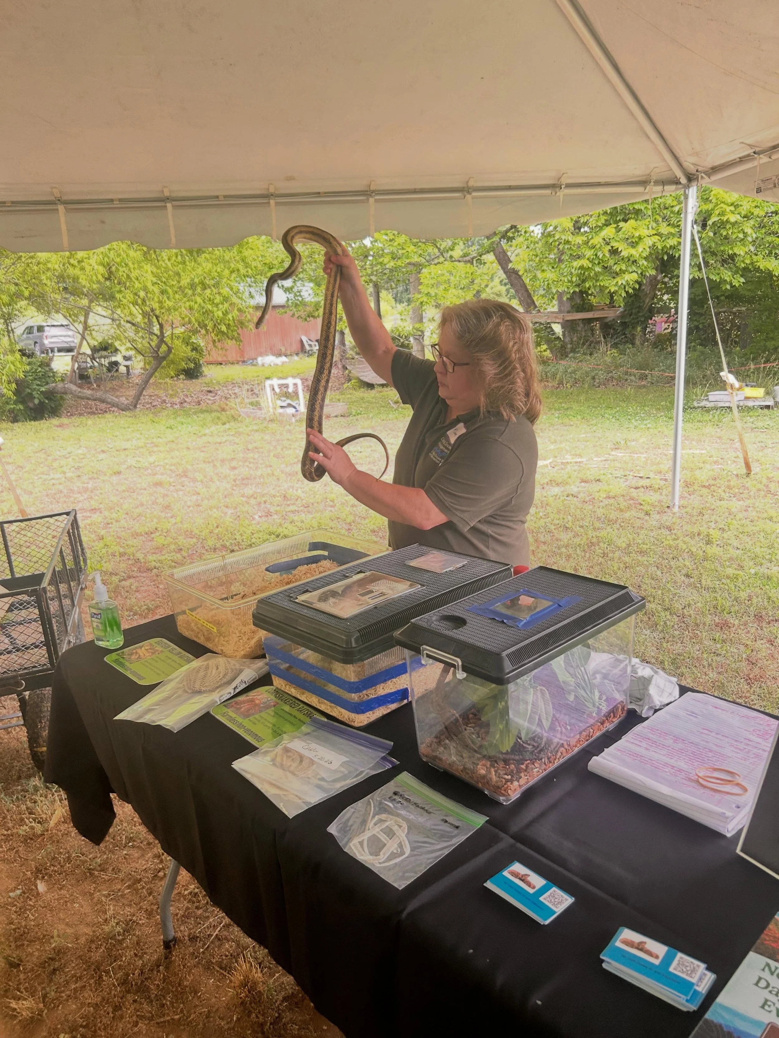 Day 1 Farm Stewardship Camp! Jammed pack with learning about God&rsquo;s creation (Native Snakes with Dawn Today!); Preparing the seed bed in Ag; and Breaking down some of Jesus&rsquo; parables! Oh, and snake themed snacks and of course, creek play! 
