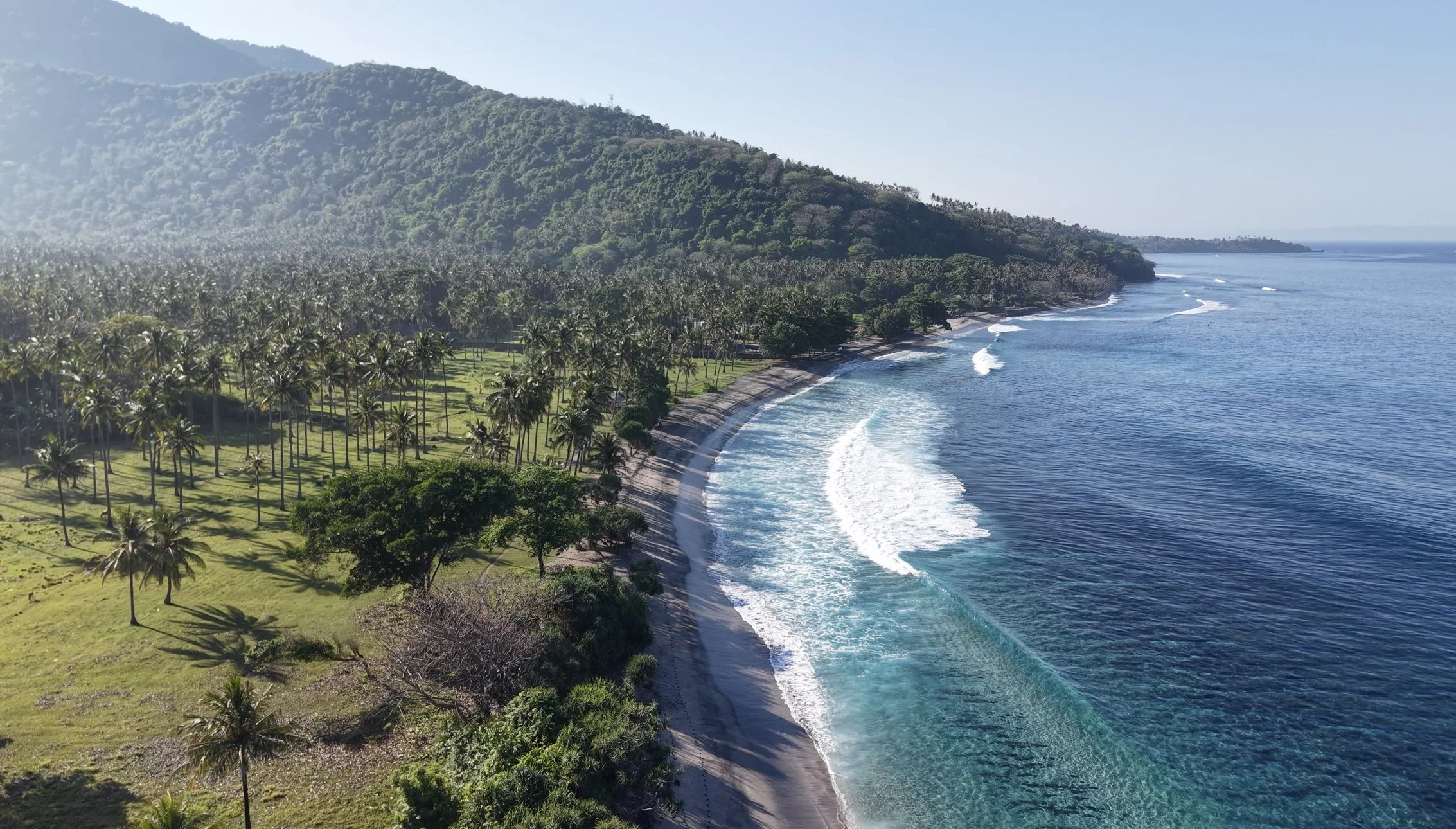 A scenic view of a tropical coastline with a curving sandy beach, clear blue ocean waters, a lush green hillside covered with trees, and a forest of palm trees near the beach.