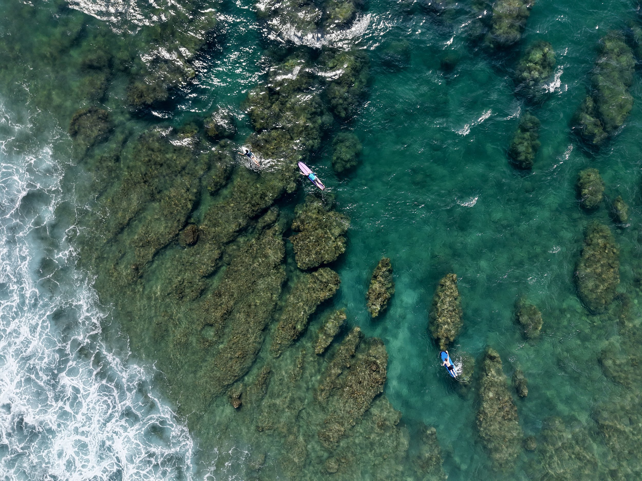 An Honest Perspective: Buying Land in Lombok vs Bali