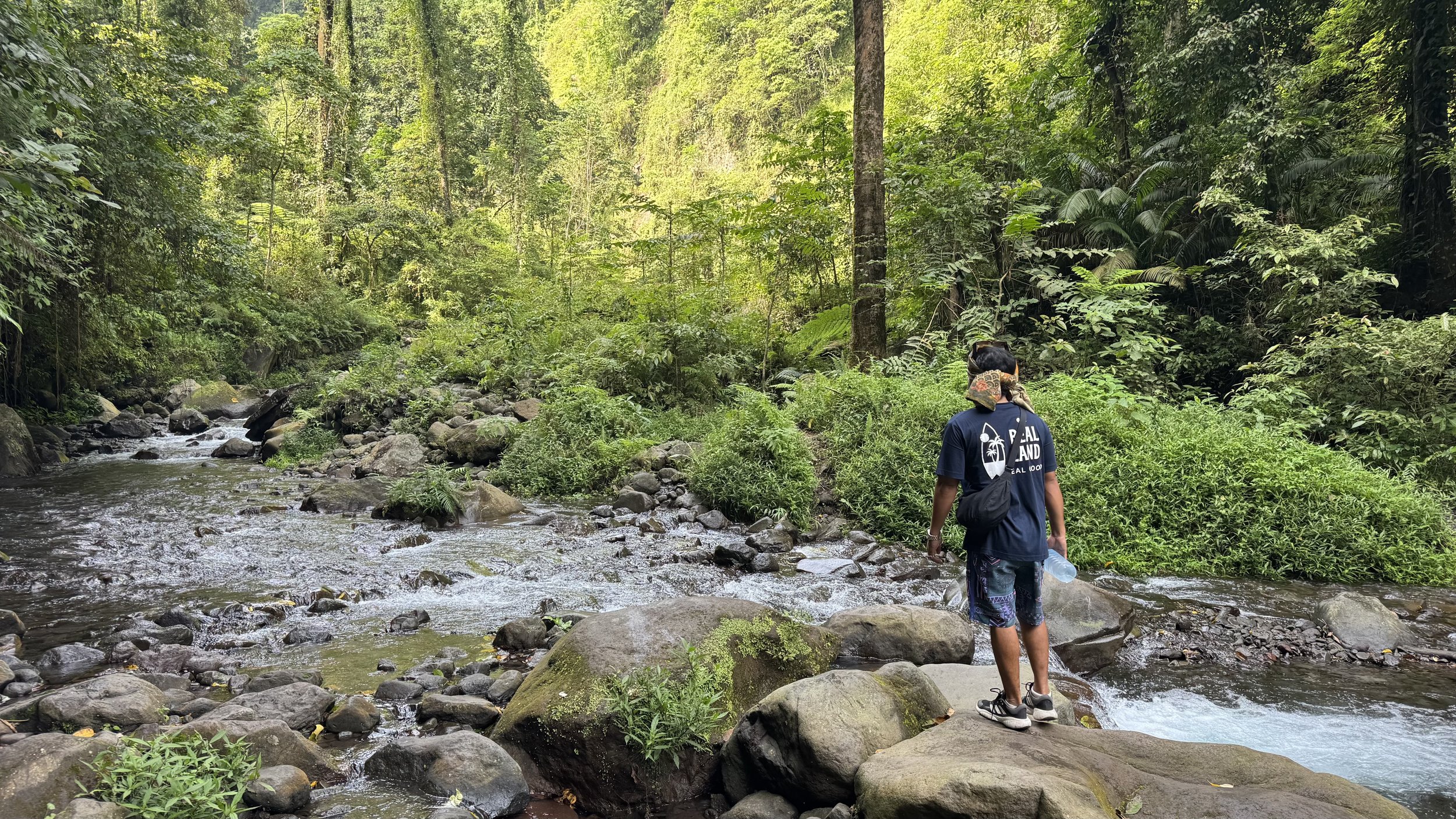 Panduan Utama Wilayah Lombok untuk Pembeli Tanah
