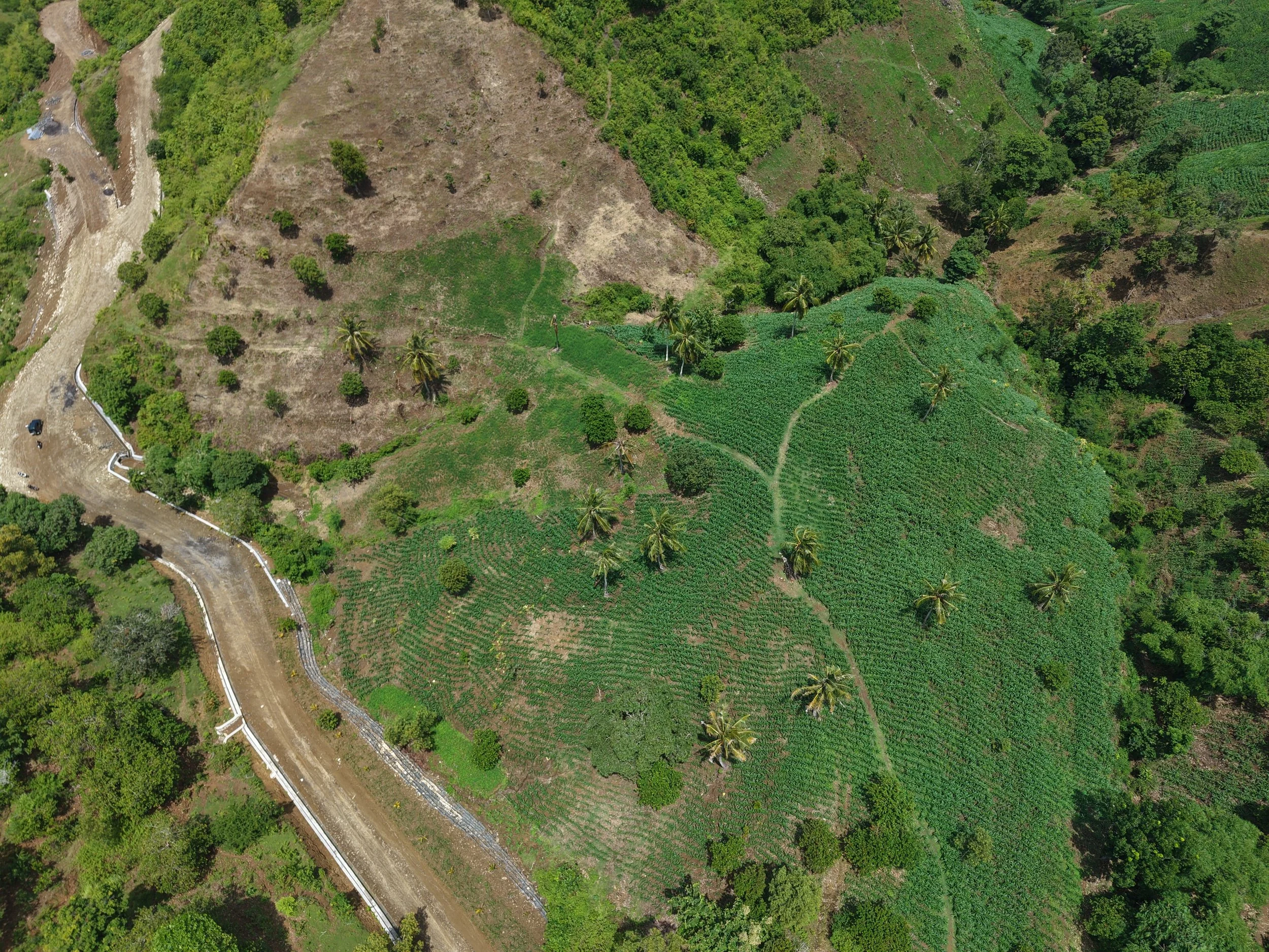 Aerial view of a hilly landscape with patches of lush green vegetation, some bare soil, and a winding dirt road bordered by a white fence.