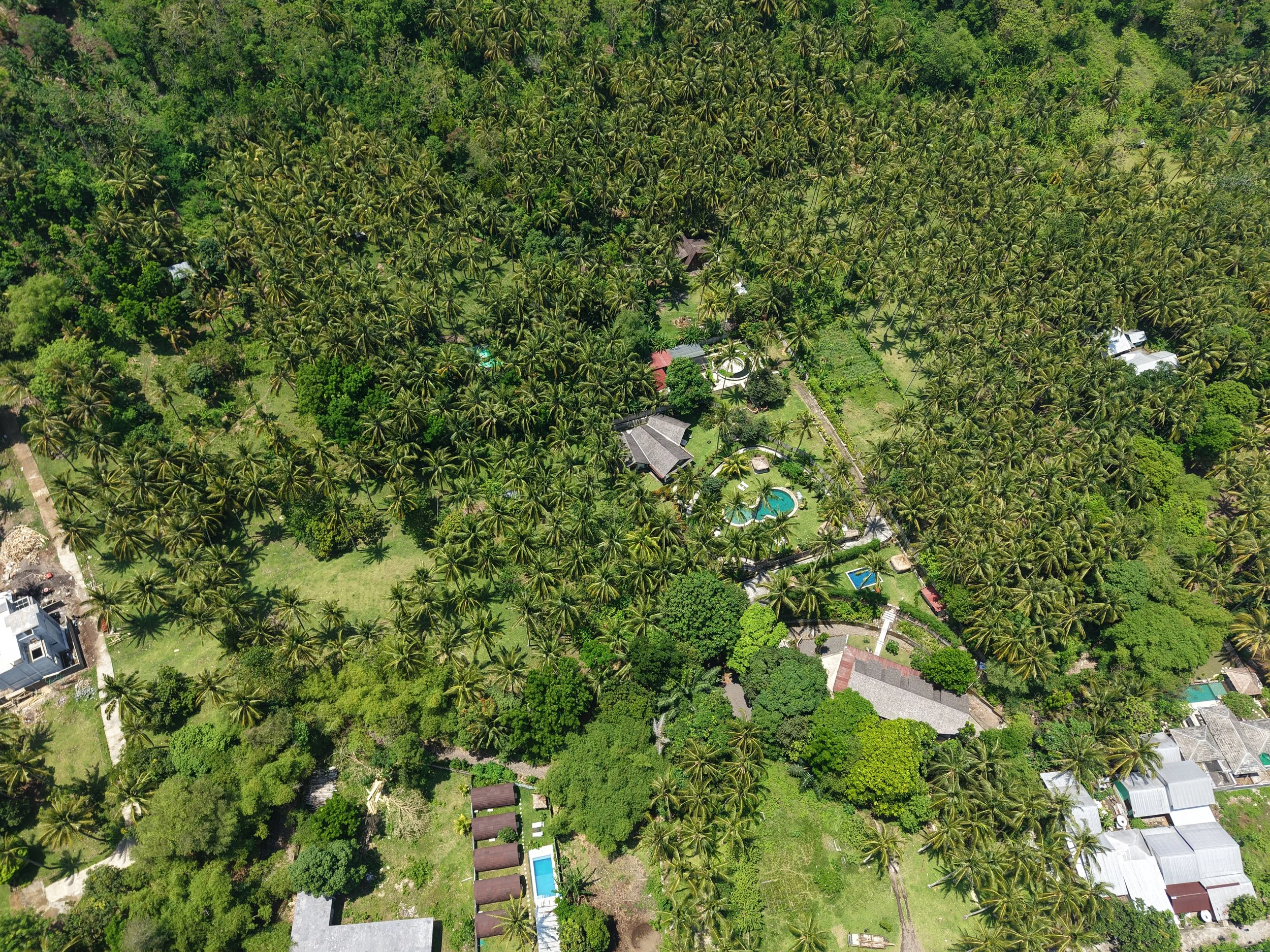 Aerial view of a tropical residential area with many palm trees, houses, and a garden with swimming pools.