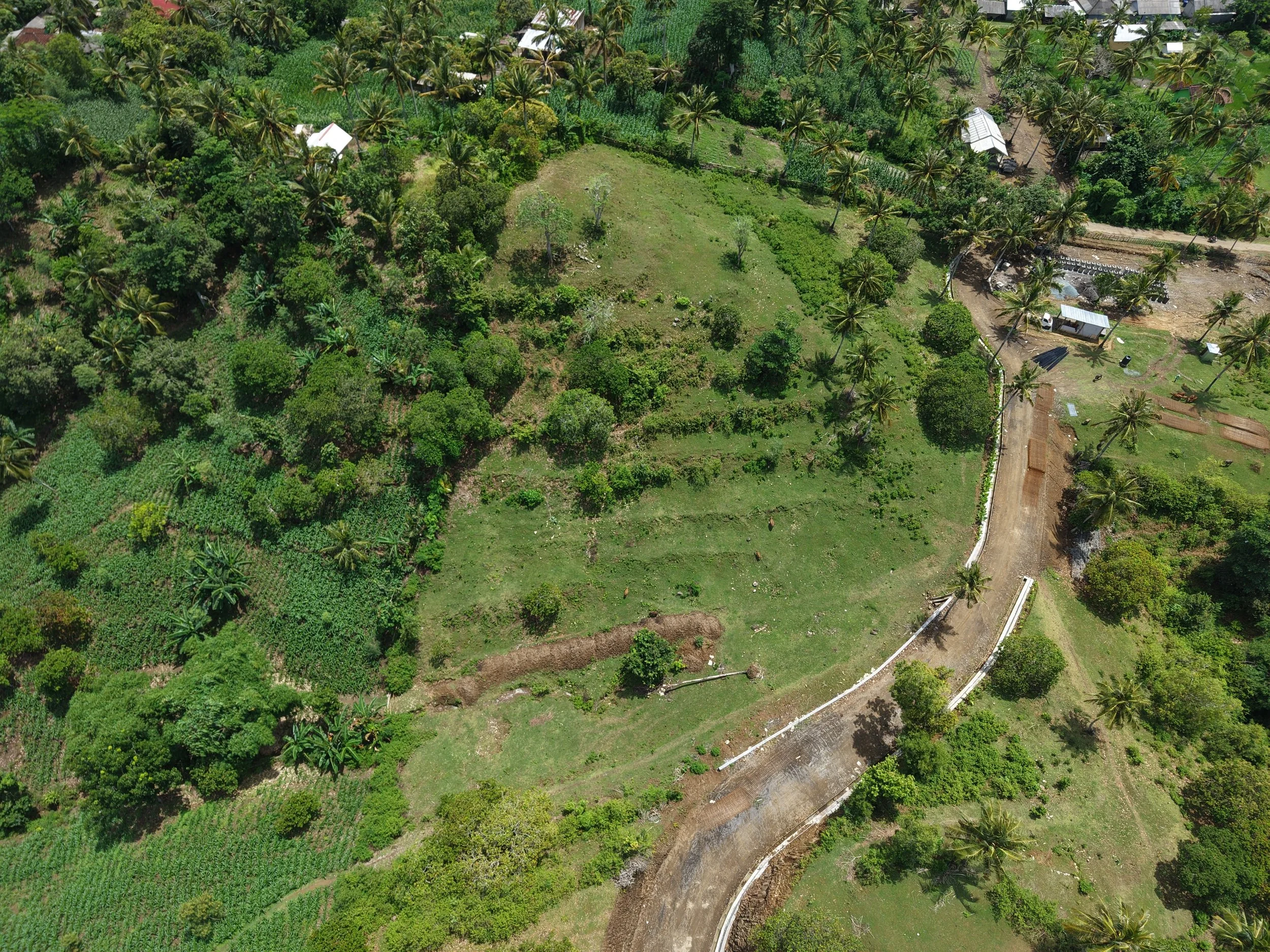 Aerial view of a green rural landscape with trees, small structures, a winding road, and cultivated fields.