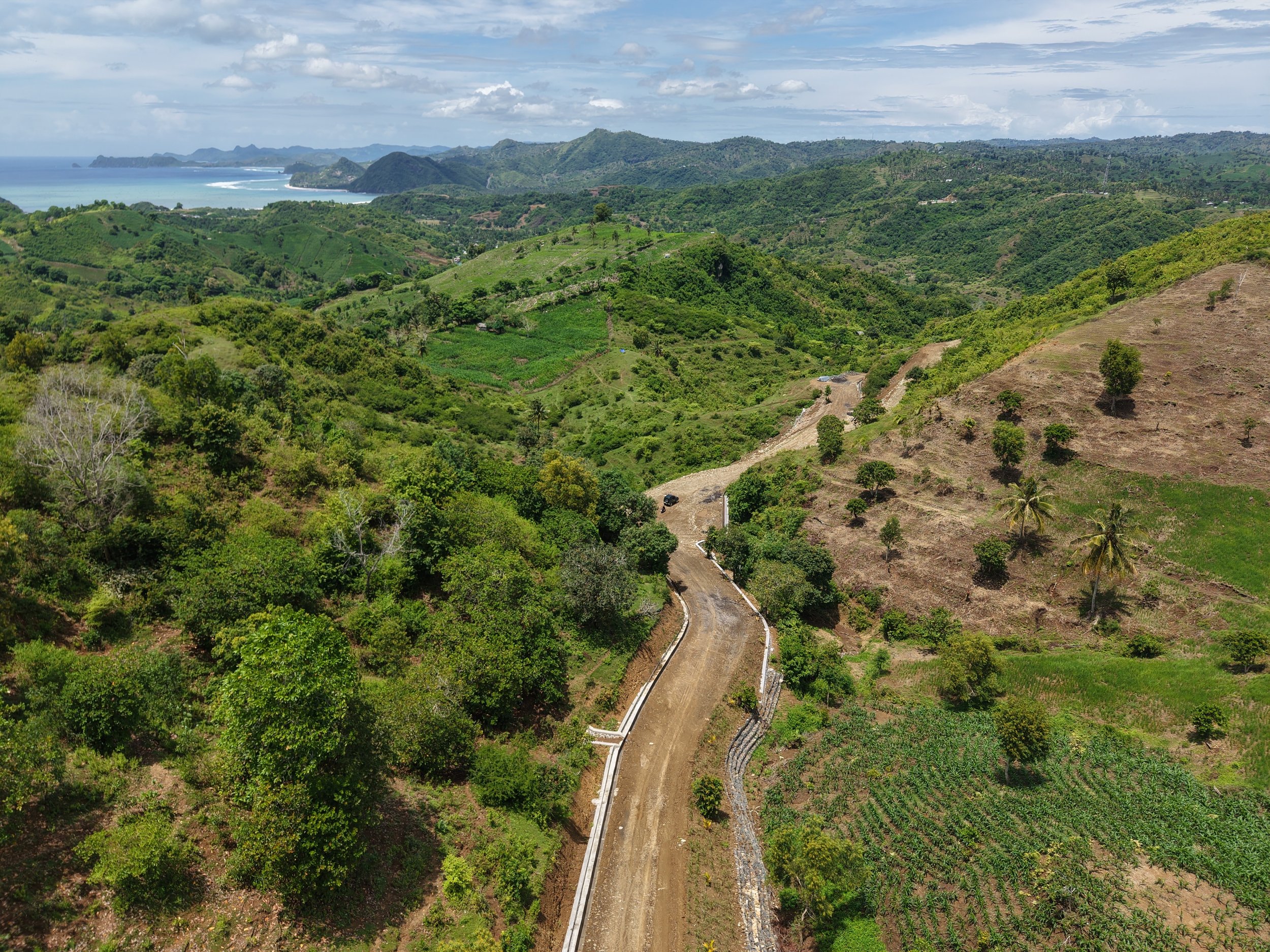 A landscape of green hills and valleys with a dirt road winding through the terrain, some palm trees, and farmland patches, with a view of the ocean and distant islands under a cloudy sky.