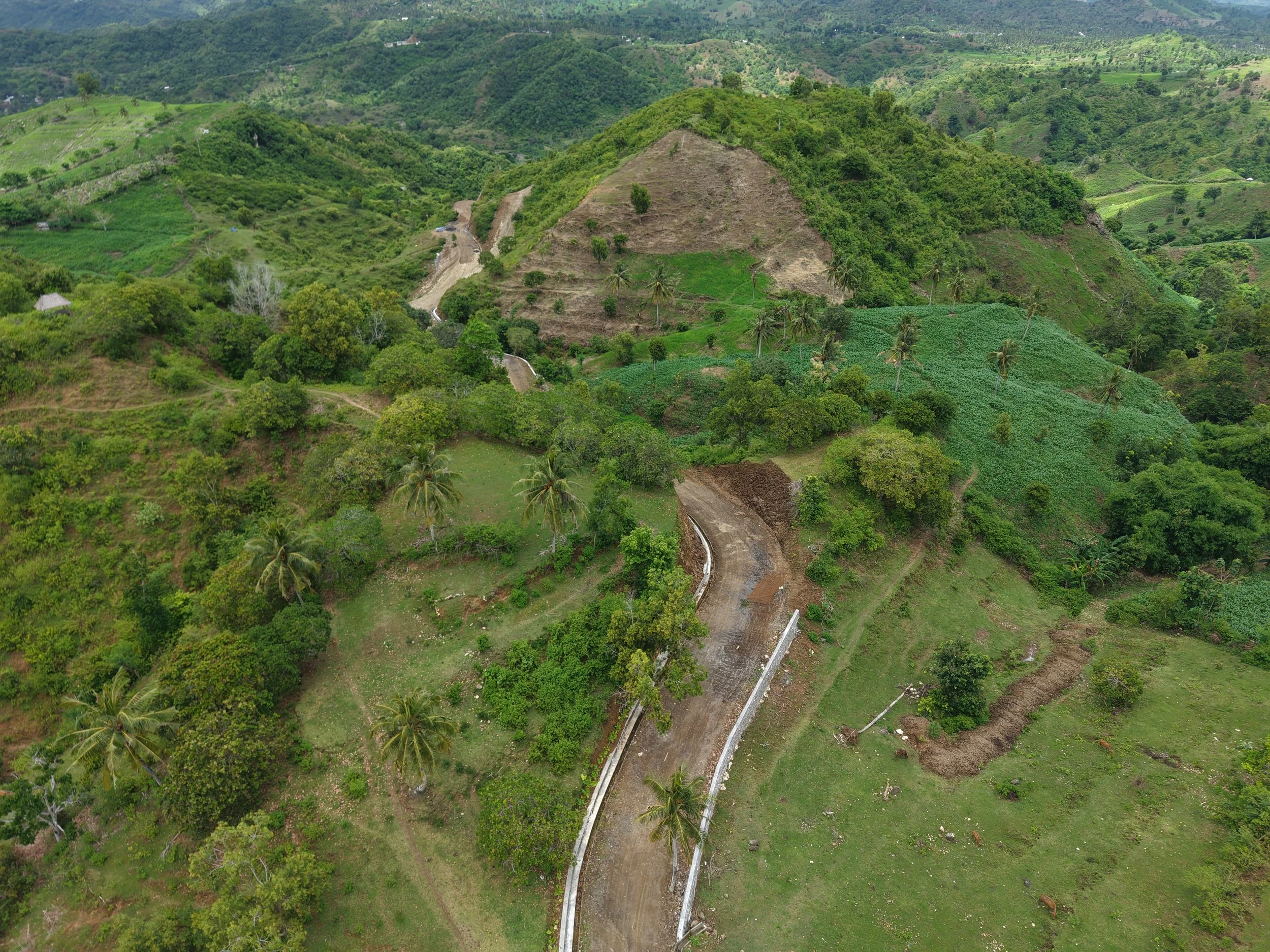 Aerial view of a lush, green hilly landscape with a dirt road winding through the area, scattered trees, and cultivated farmland.