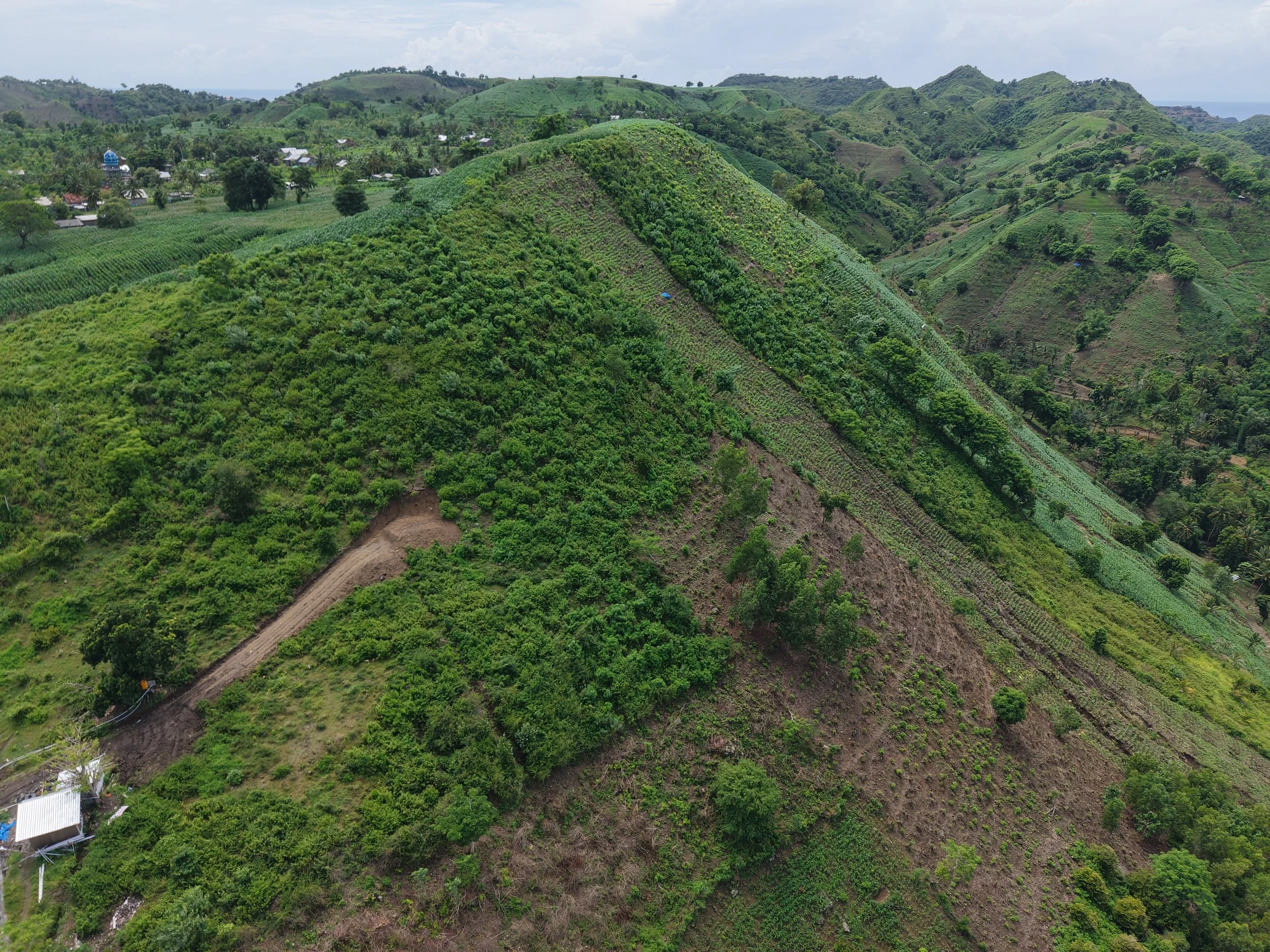 A lush green hilly landscape with various agricultural plots, small houses, and a dirt pathway, under a cloudy sky.