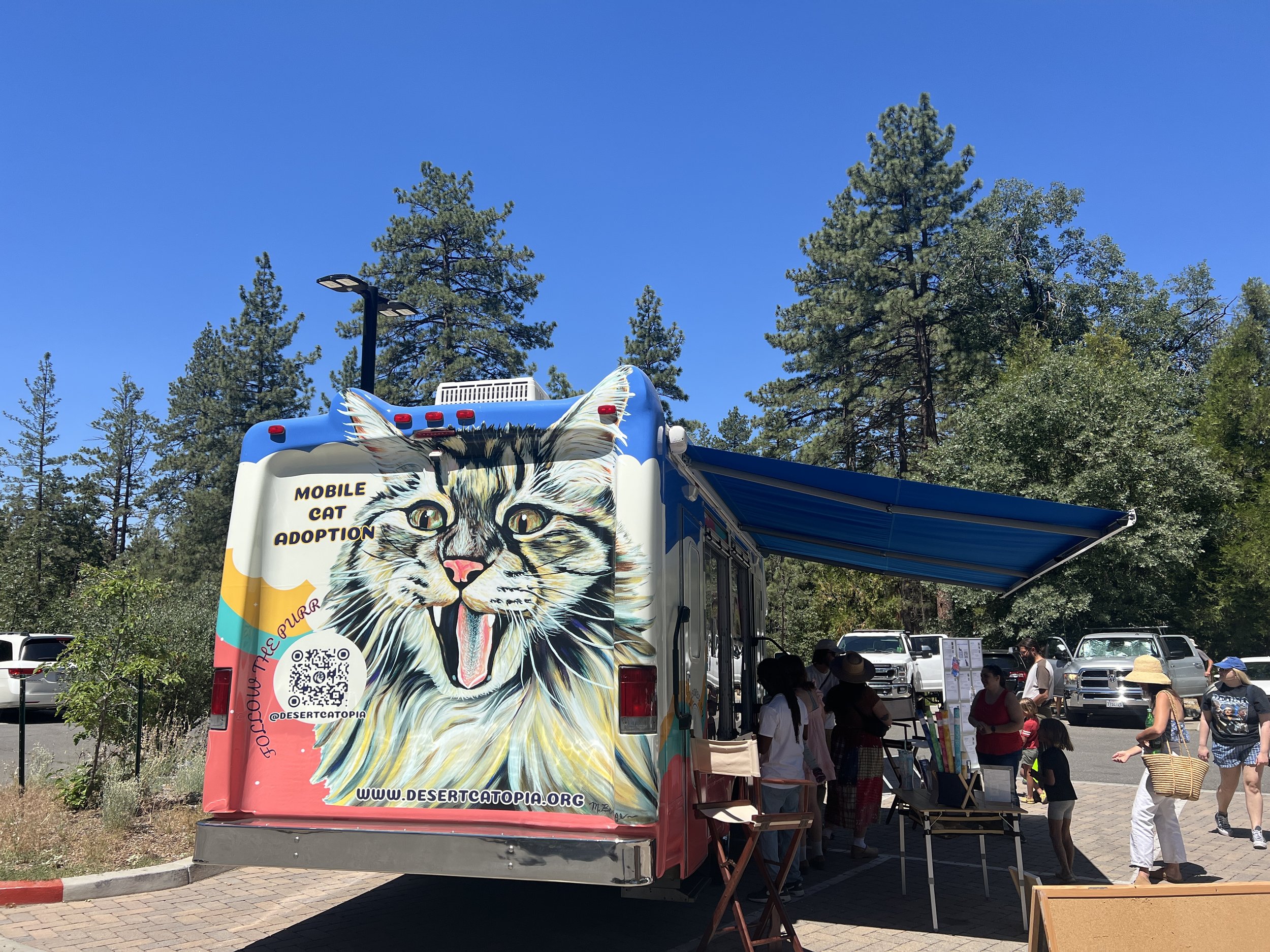 4th of July in Idyllwild