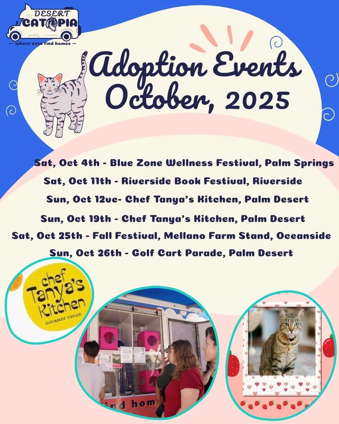 🐾 October Adoption Adventures! 🐾
October is shaping up to be super busy and exciting for Desert Catopia! This month, you&rsquo;ll mostly find our adoption bus around the desert at some amazing community events &mdash; all to help more kitties find 